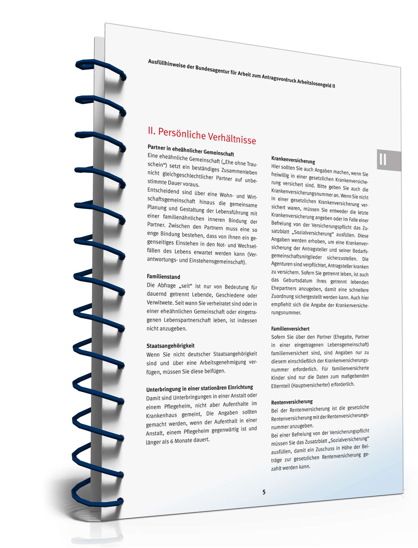 Ausfüllhinweise Antrag Bürgergeld PDF. Seite: 5