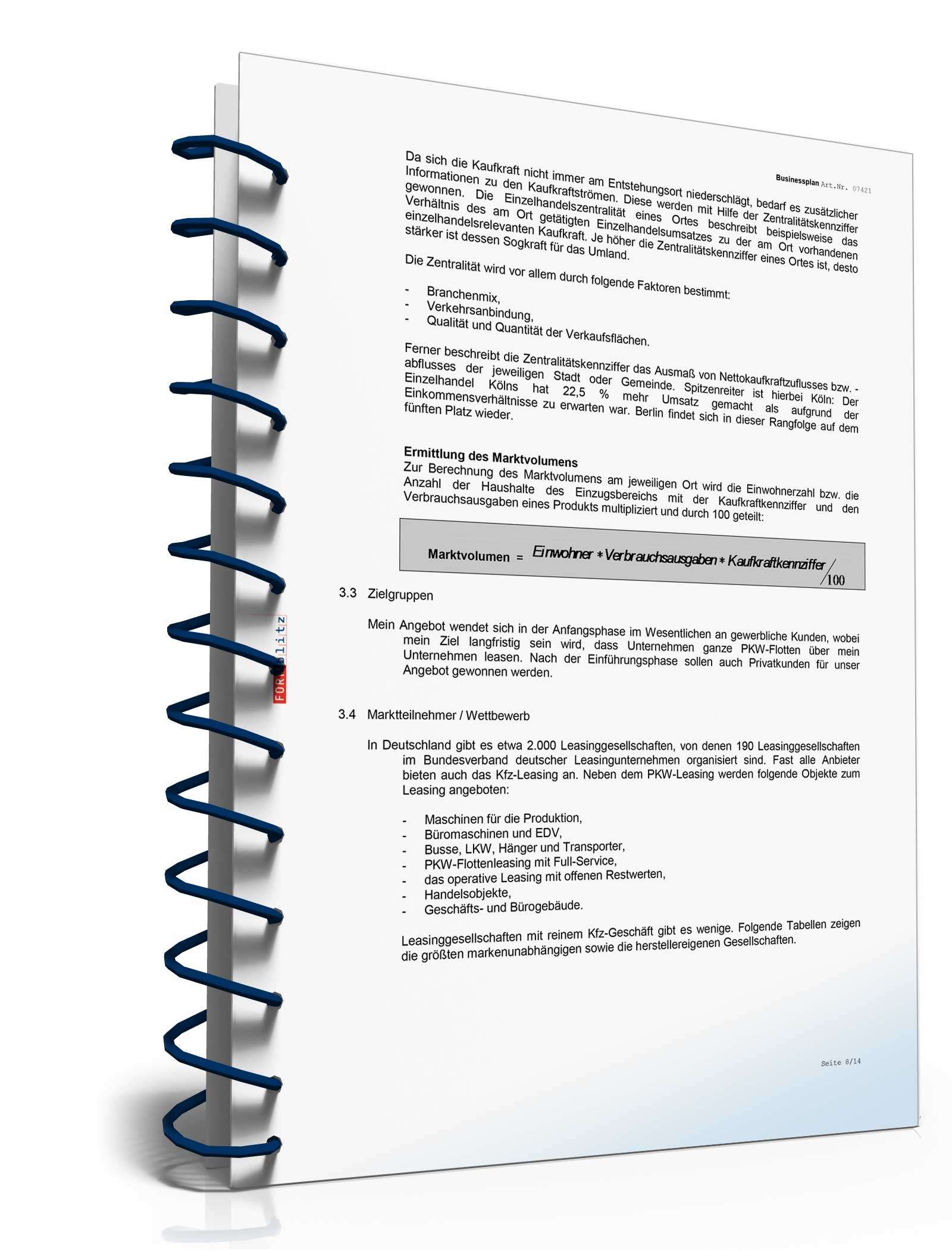 Businessplan für ein Leasingunternehmen Excel. Seite: 11