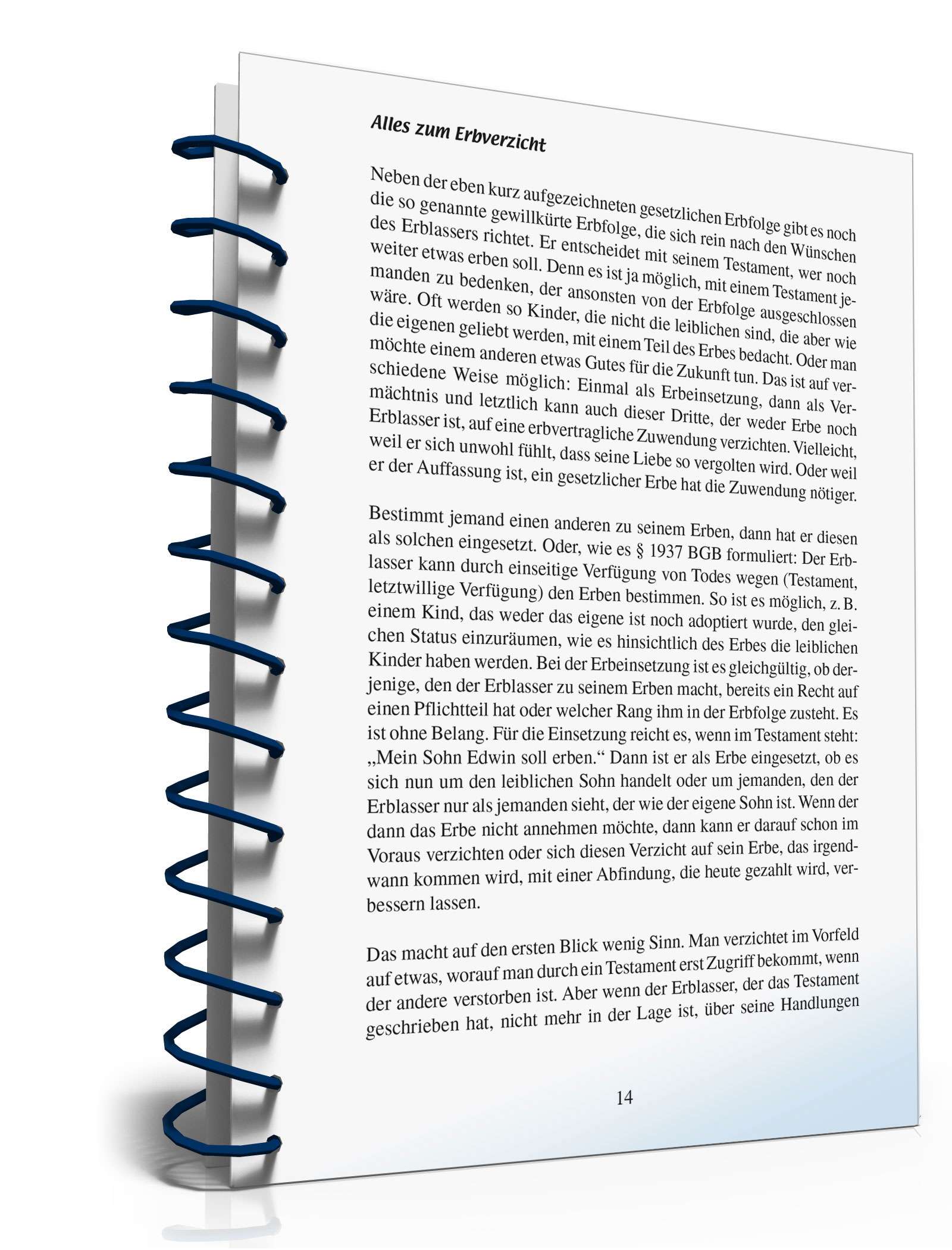 Ratgeber Erbverzicht PDF. Seite: 13