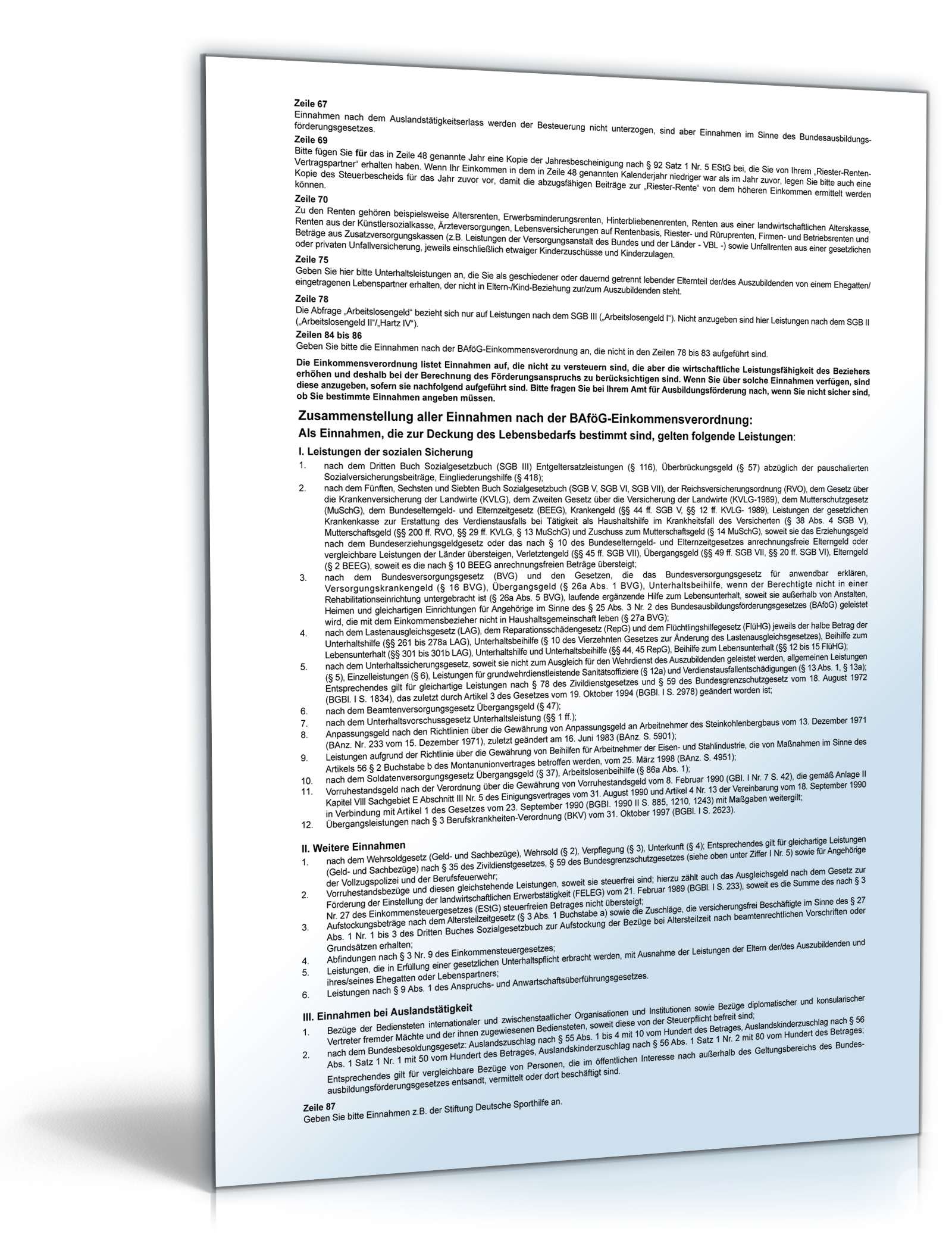 Einkommenserklärung PDF. Seite: 6