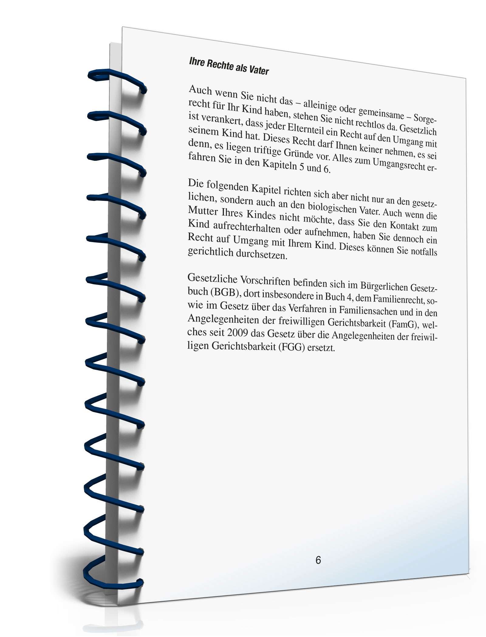 Ihre Rechte als Vater PDF. Seite: 5