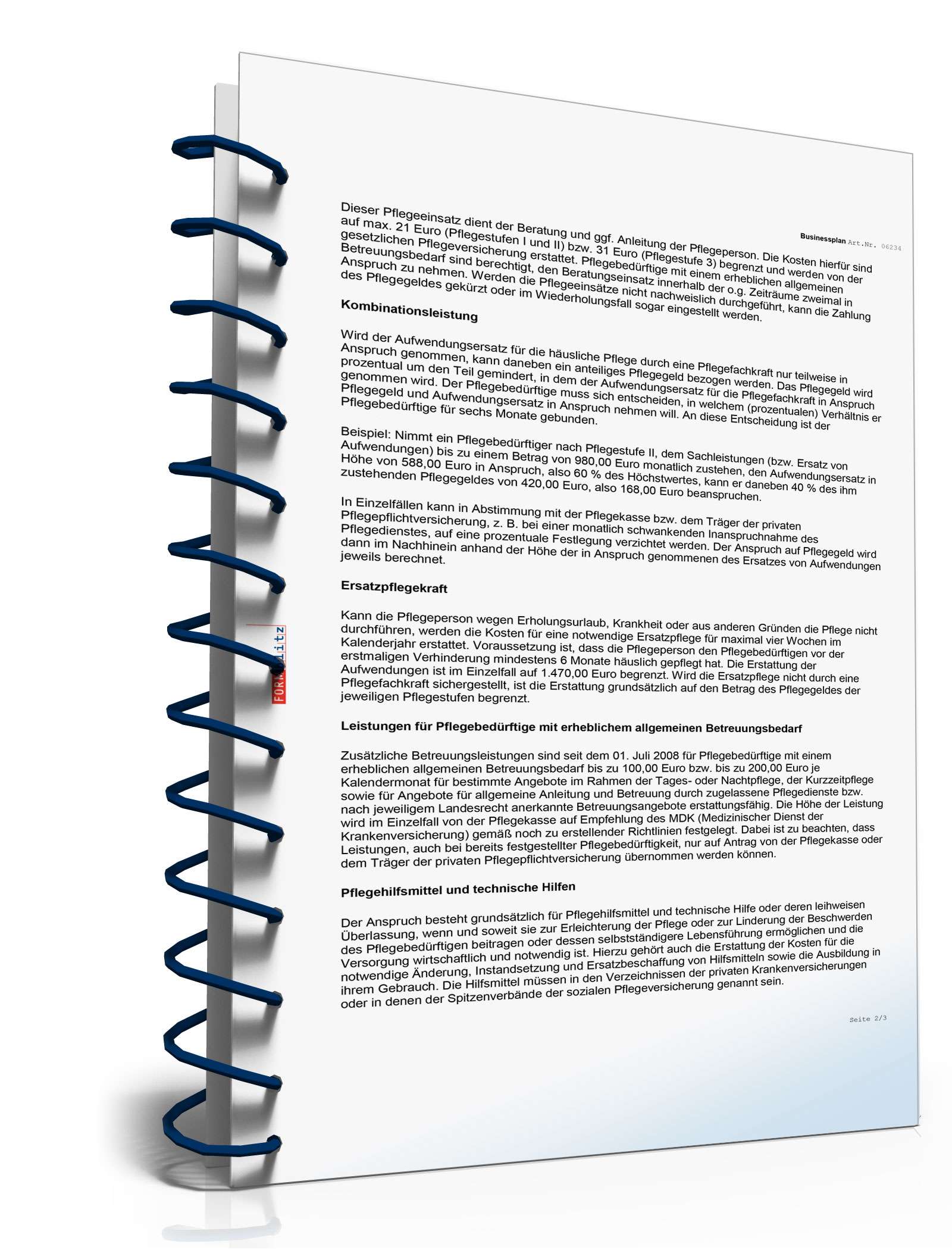 Businessplan Mobiler Pflegedienst Excel. Seite: 21