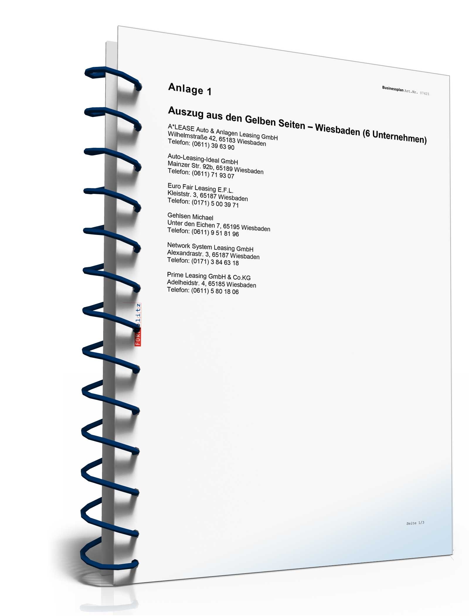 Businessplan für ein Leasingunternehmen Excel. Seite: 19