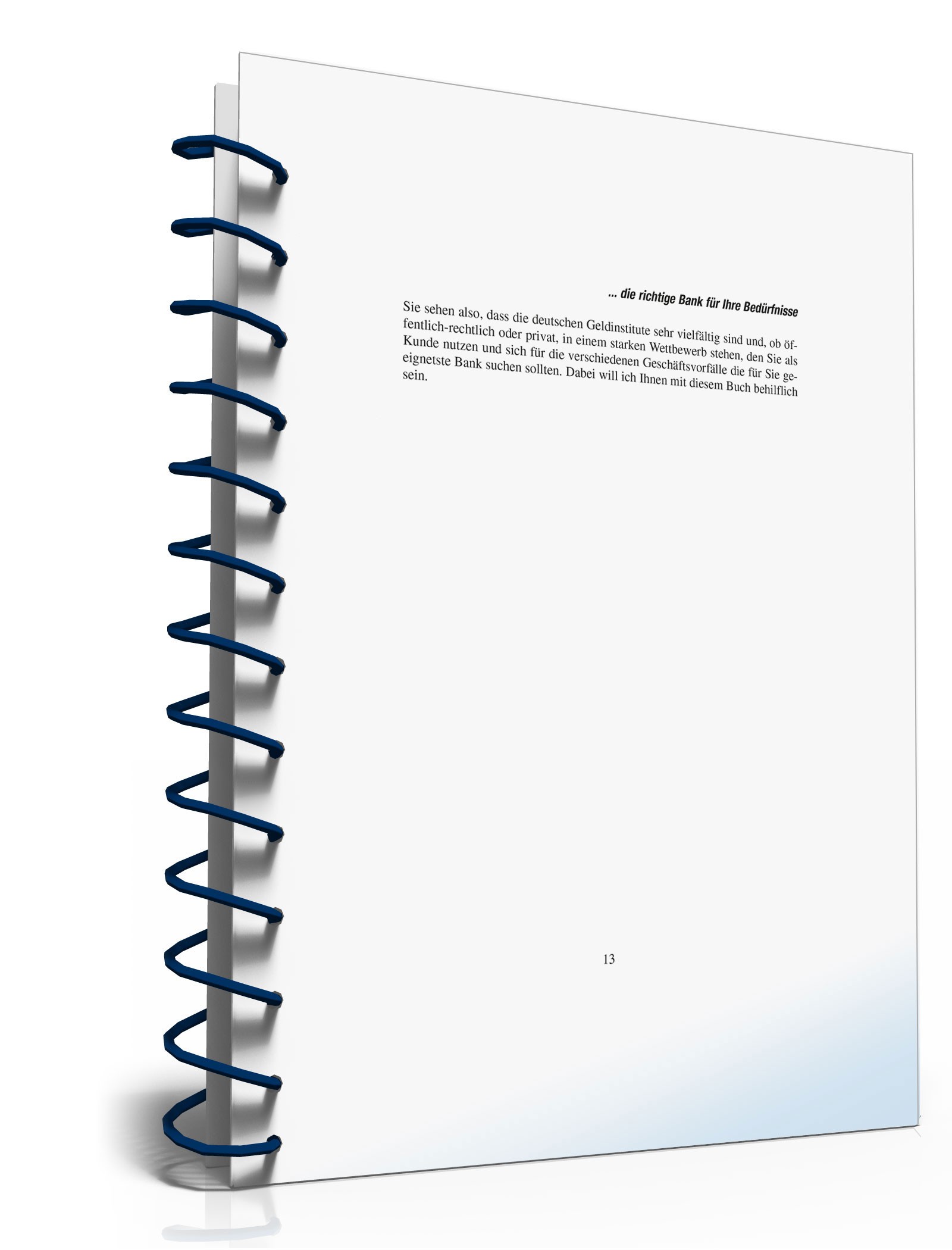 Ratgeber Auswahl Kreditinstitut  PDF. Seite: 11