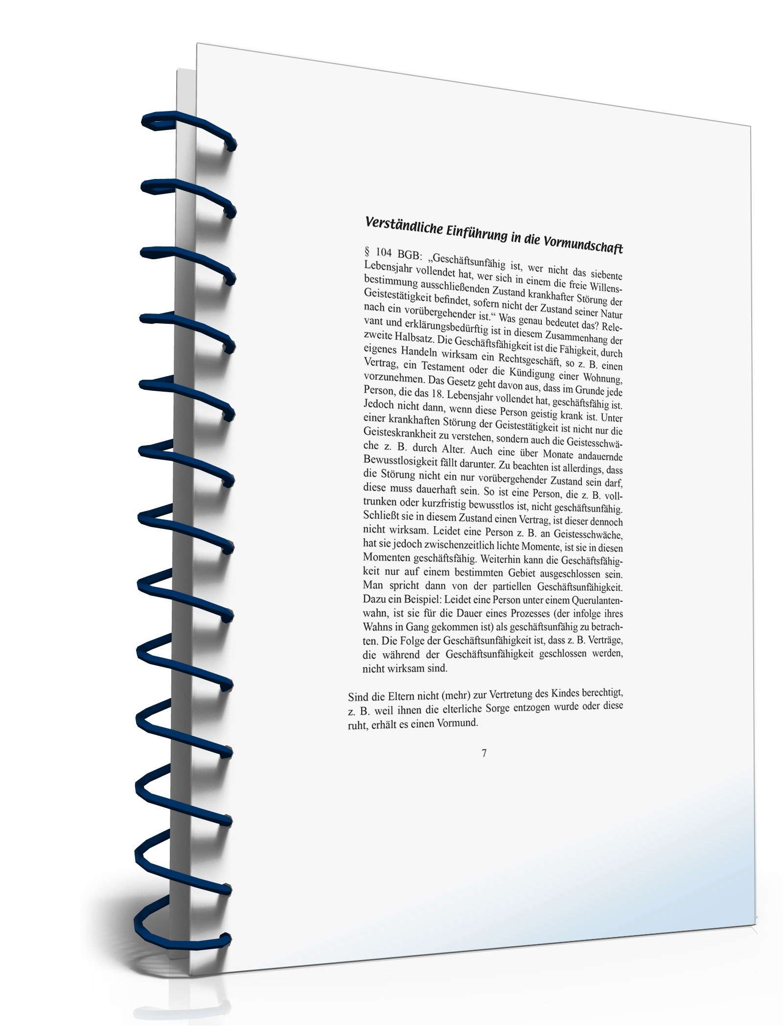 Ratgeber Vormundschaft PDF. Seite: 7