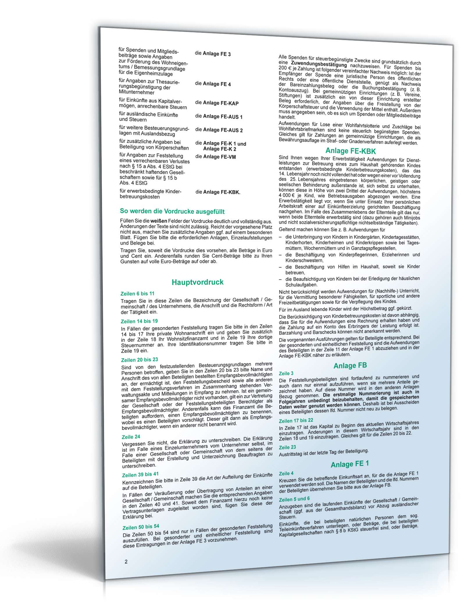 Anleitung Feststellung Einkommensbesteuerung/Eigenheimzulage 2010 PDF. Seite: 2