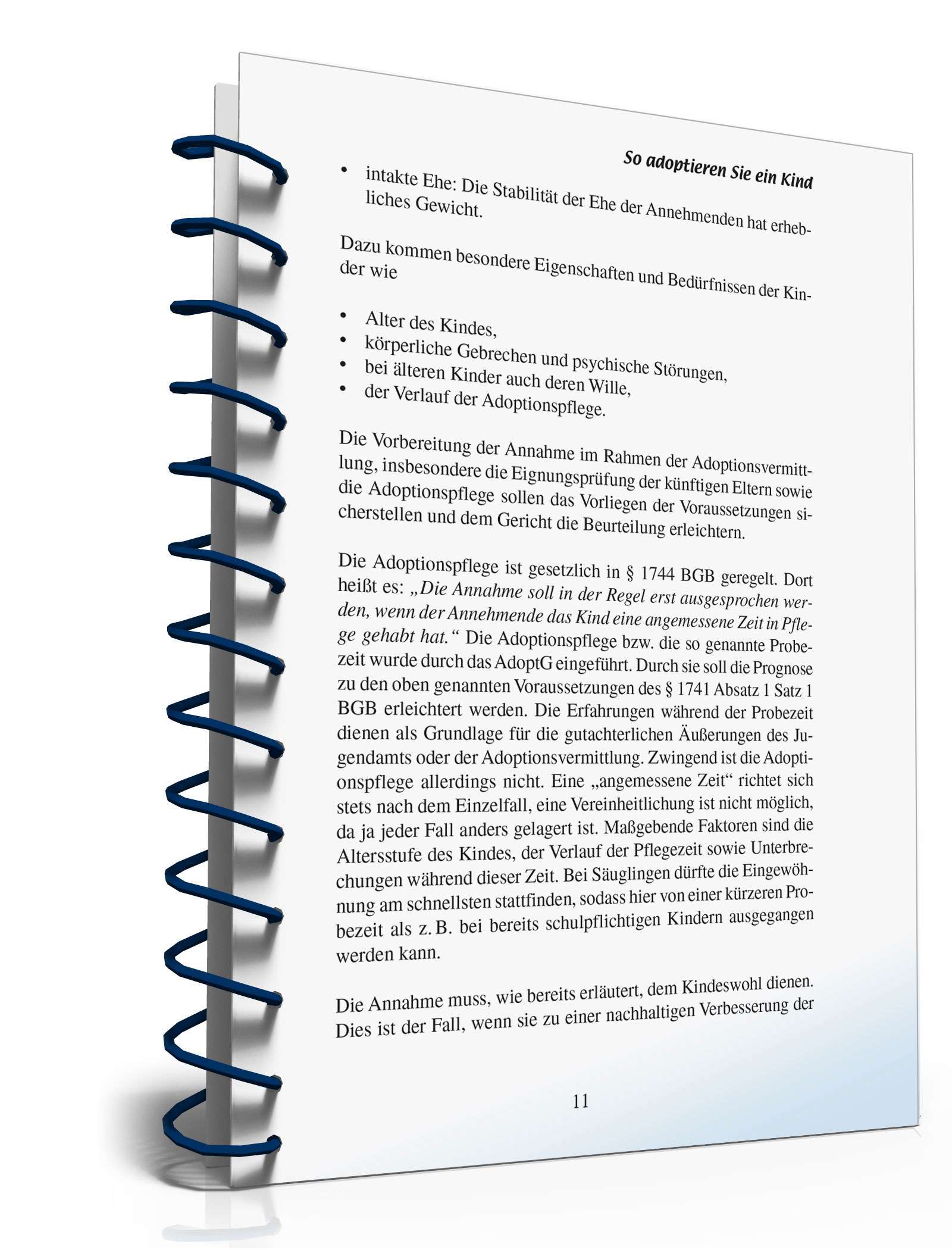 Ratgeber Adoption PDF. Seite: 10