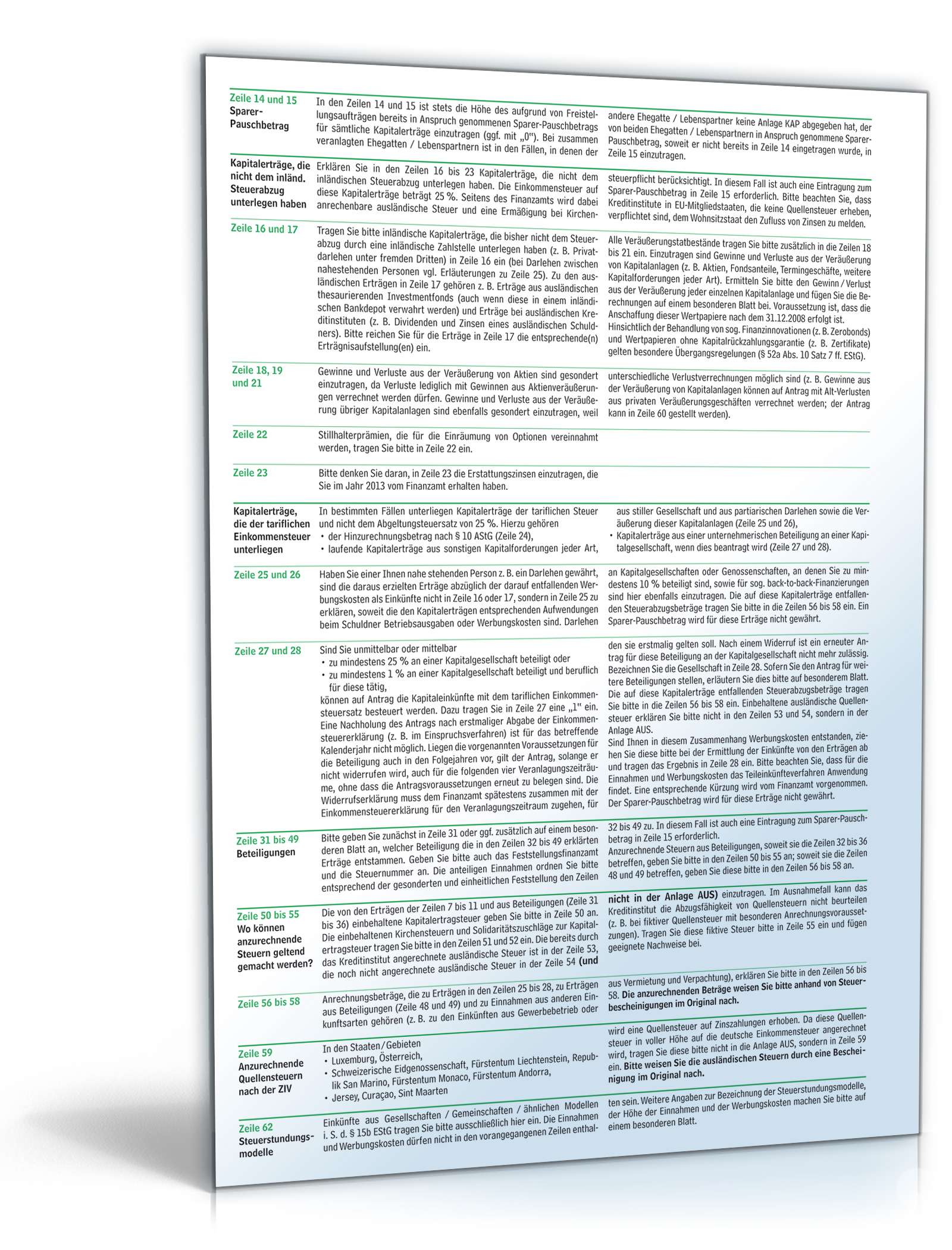 Anleitung Anlage KAP 2013 PDF. Seite: 2