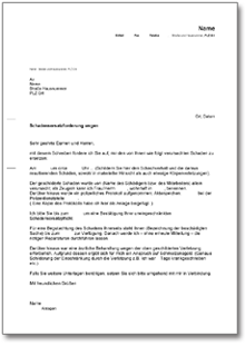 Geltendmachung Schadensersatz   Word