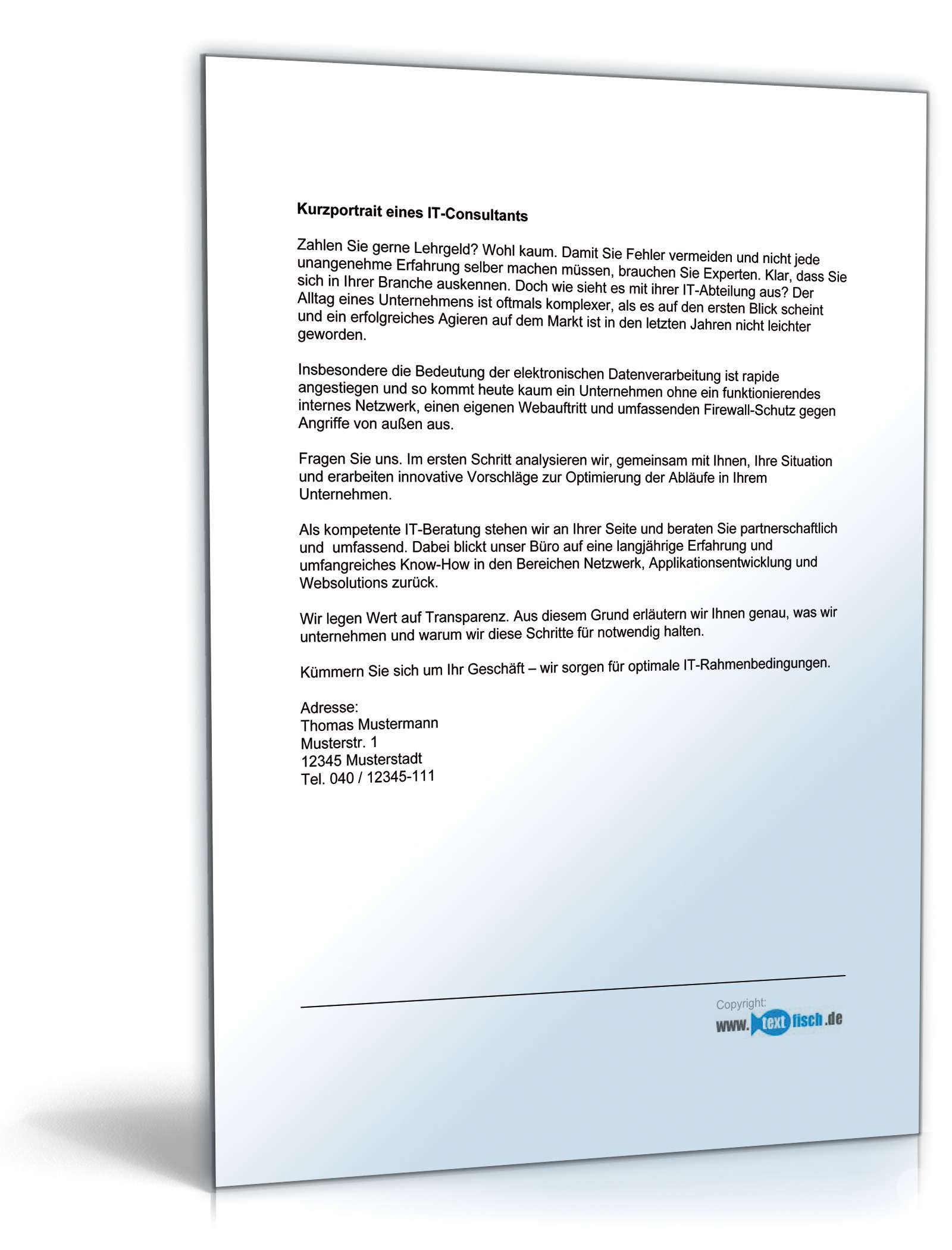 Werbetext für einen IT-Consultant