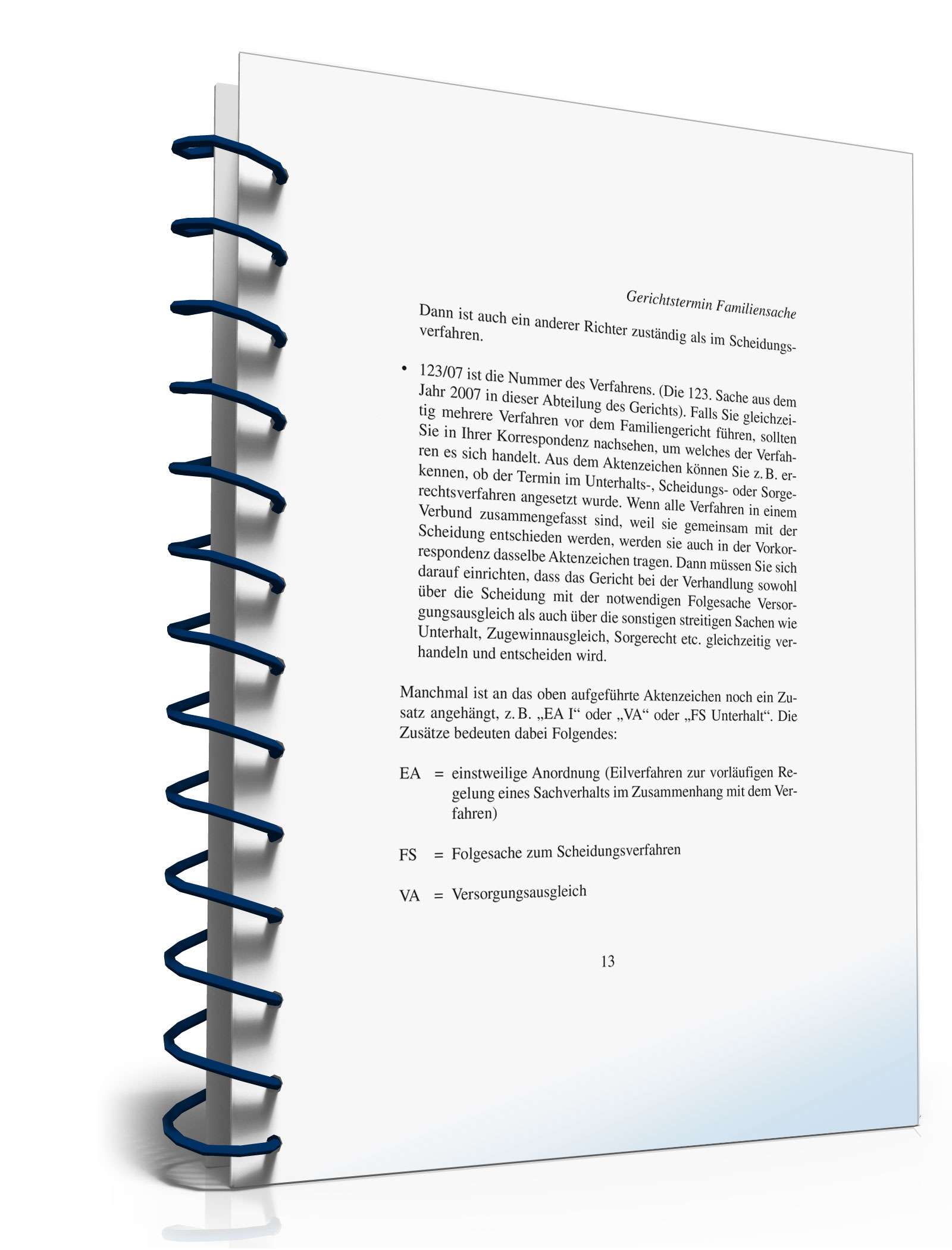 Ratgeber Gerichtstermin Familiensache PDF. Seite: 13