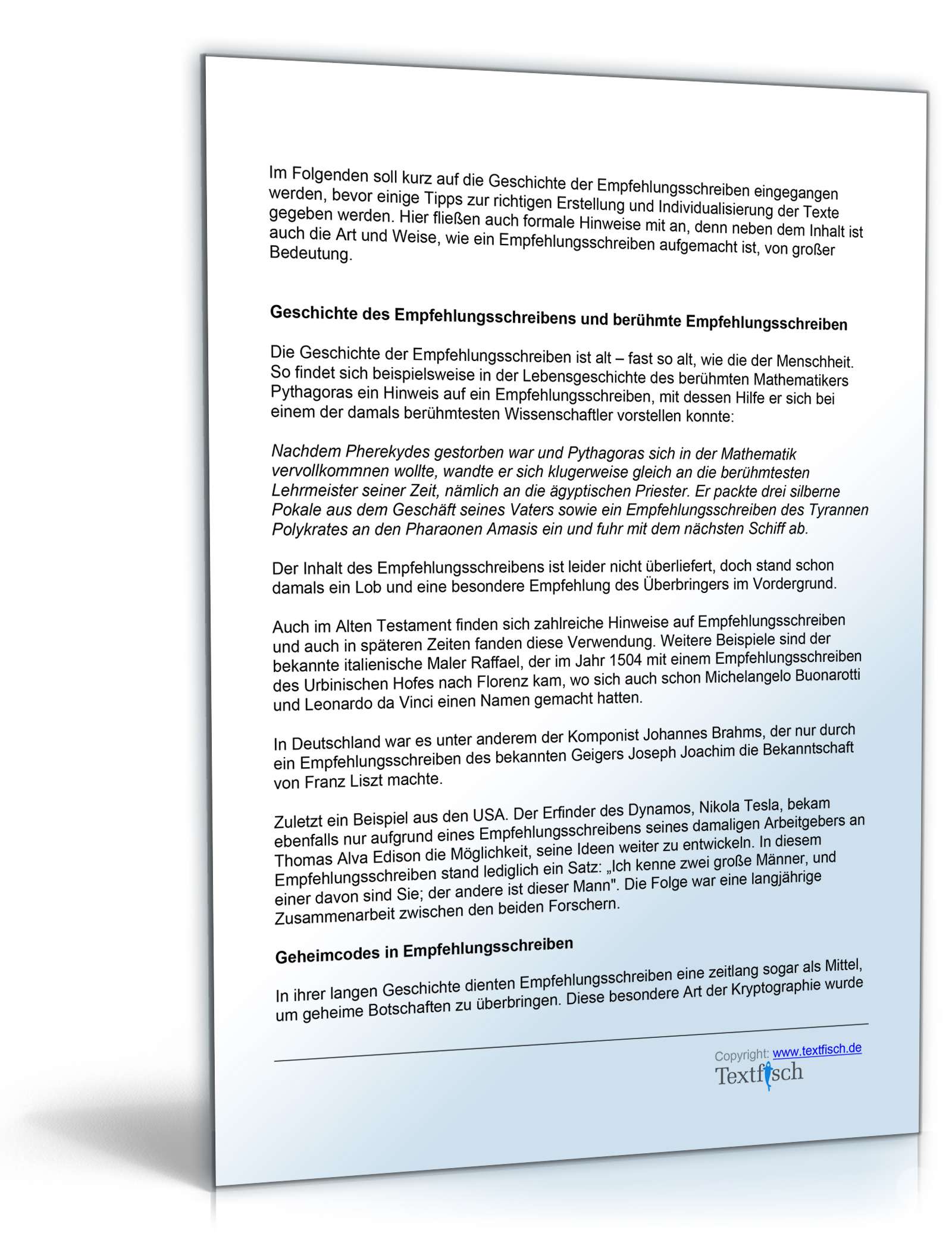 Referenzschreiben Webentwickler Word. Seite: 3