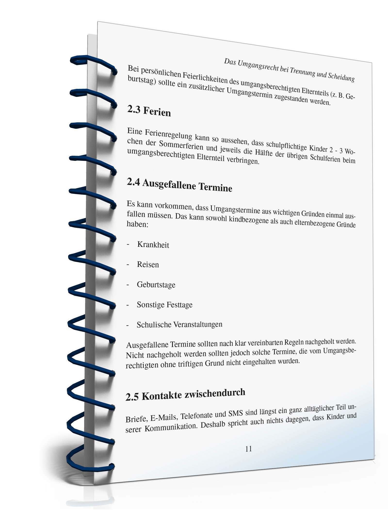 Ratgeber Umgangsrecht Trennung/Scheidung PDF. Seite: 10