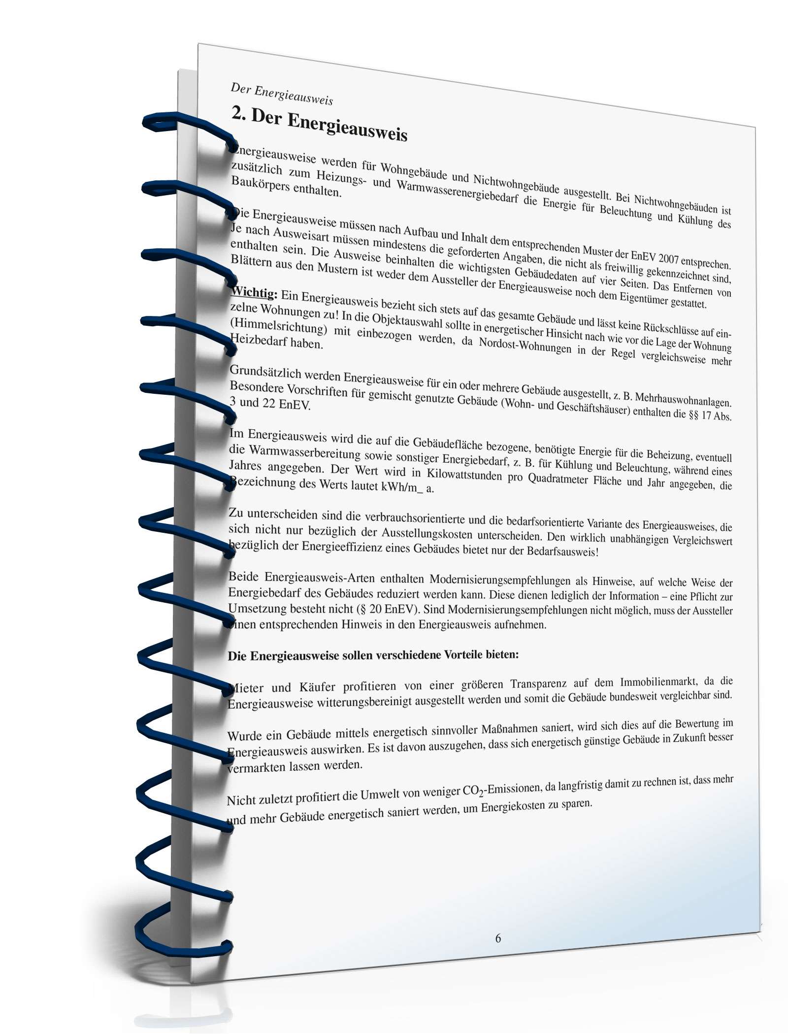 Ratgeber Energieausweis PDF. Seite: 5