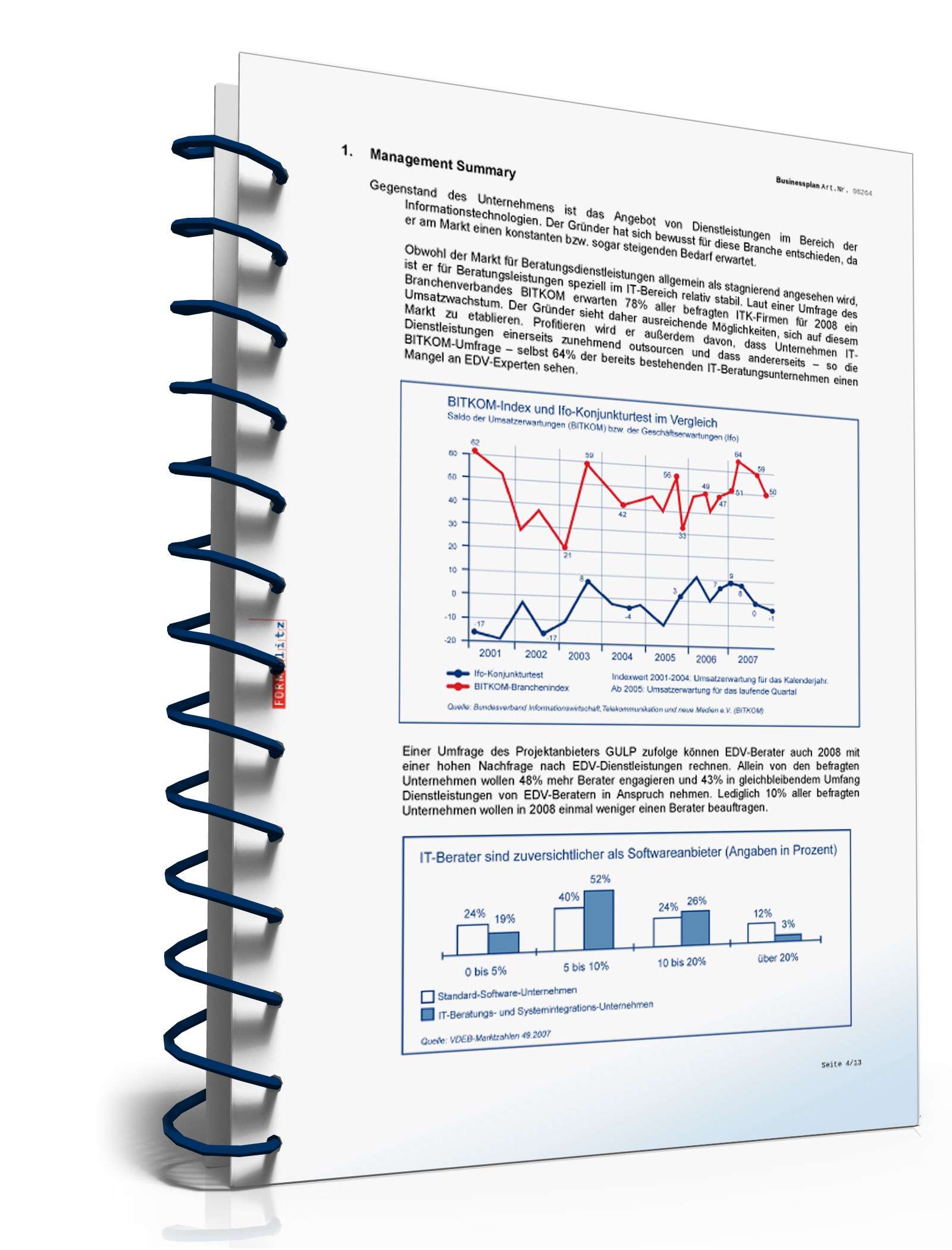 Businessplan IT-Berater Excel. Seite: 7