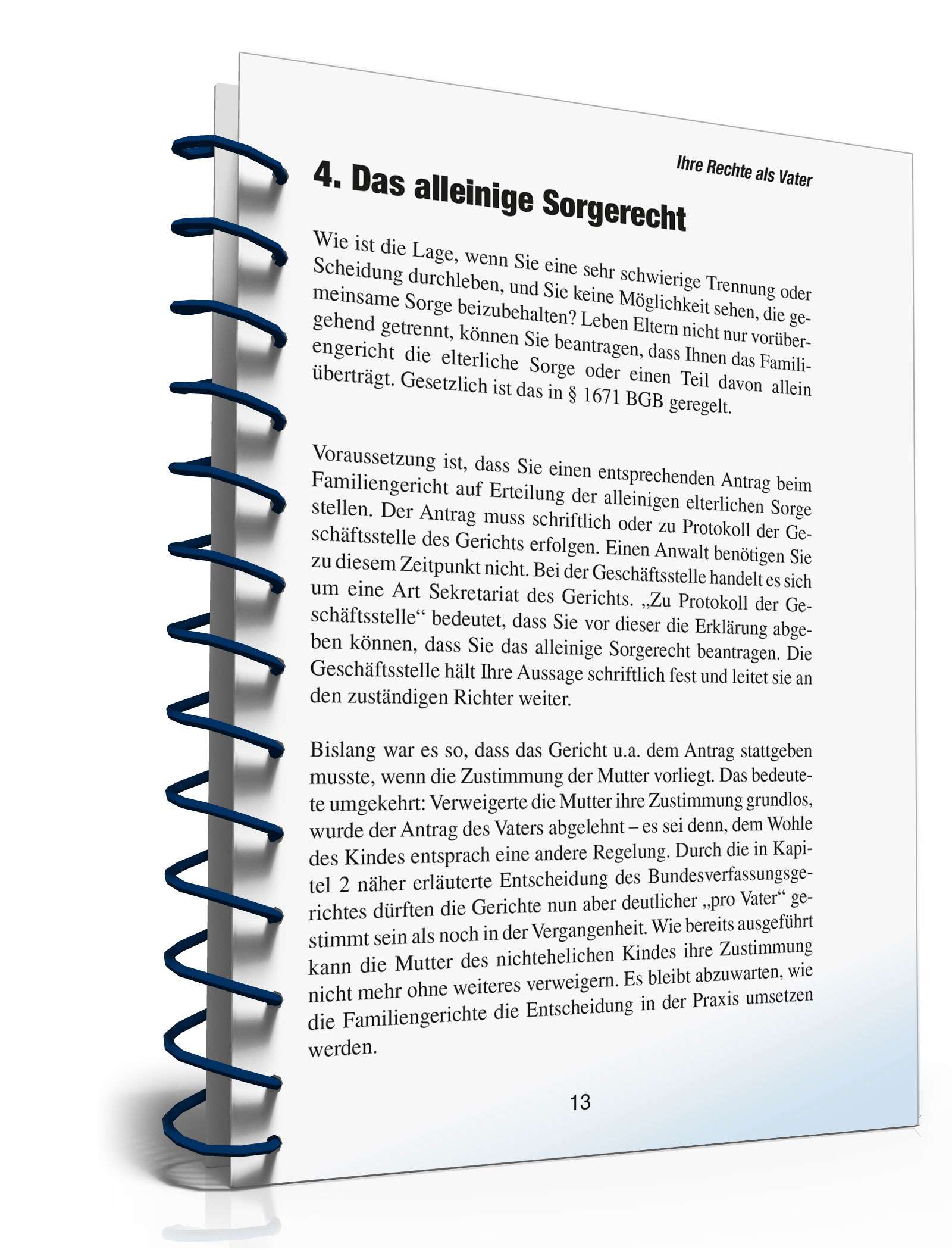 Ihre Rechte als Vater PDF. Seite: 12