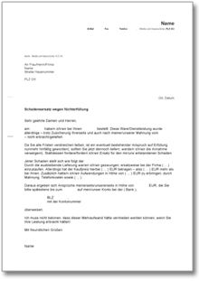 Schadensersatzforderung wegen Nichterfüllung einer Dienstleistung Word