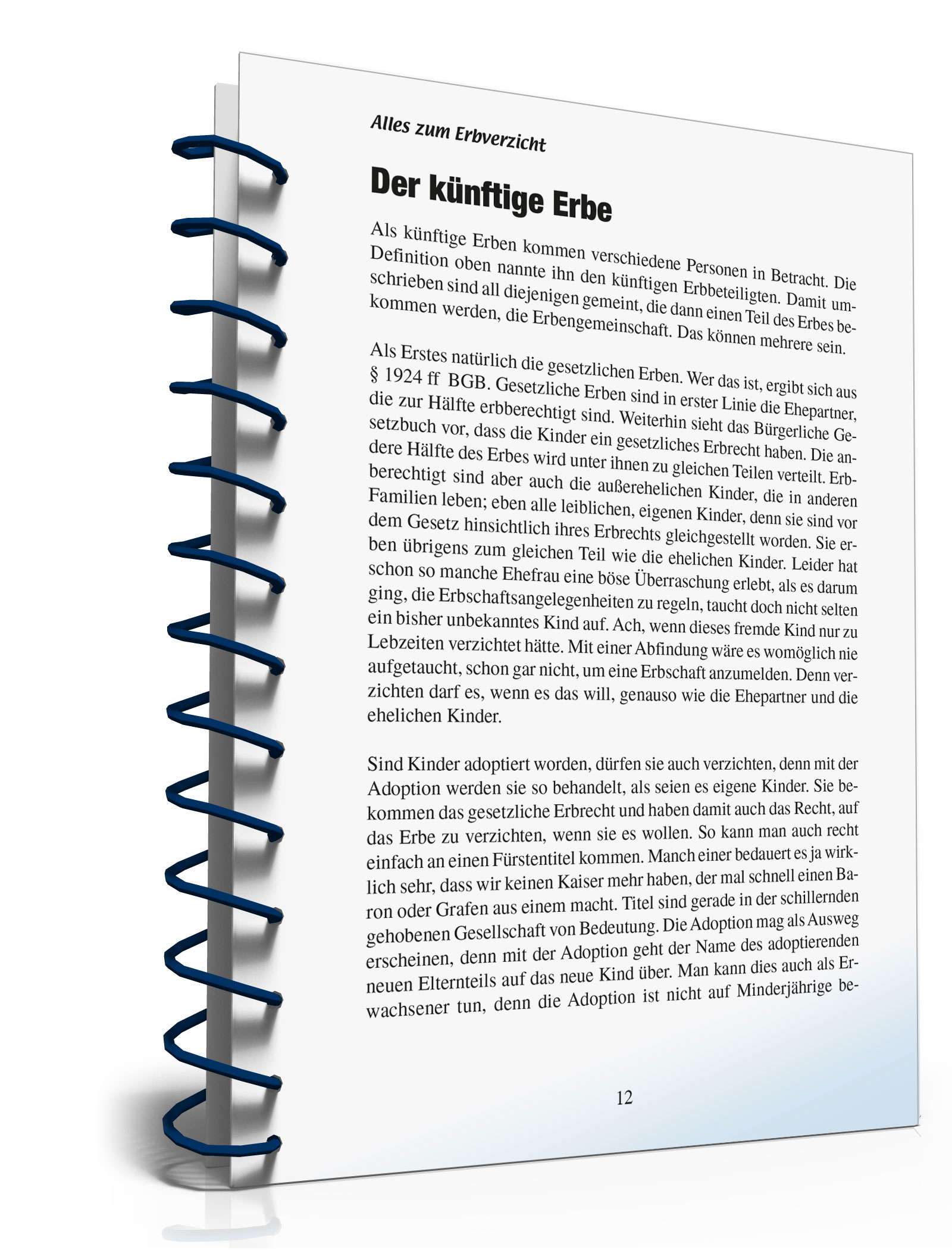 Ratgeber Erbverzicht PDF. Seite: 11