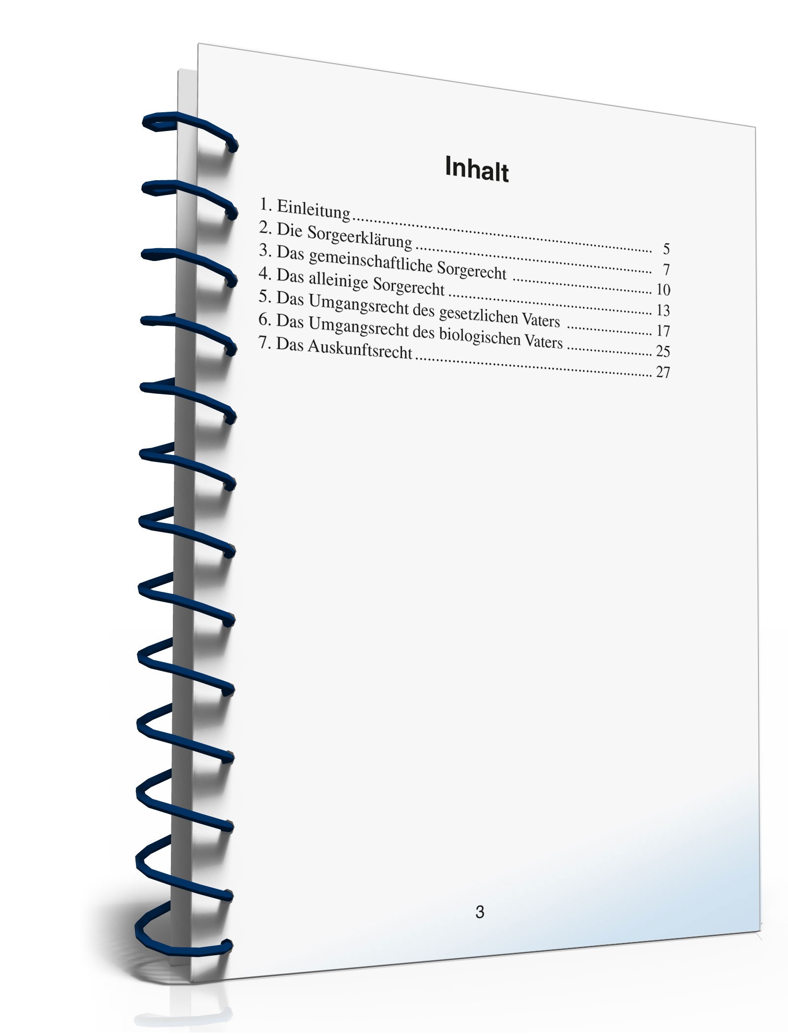 Ihre Rechte als Vater PDF. Seite: 3