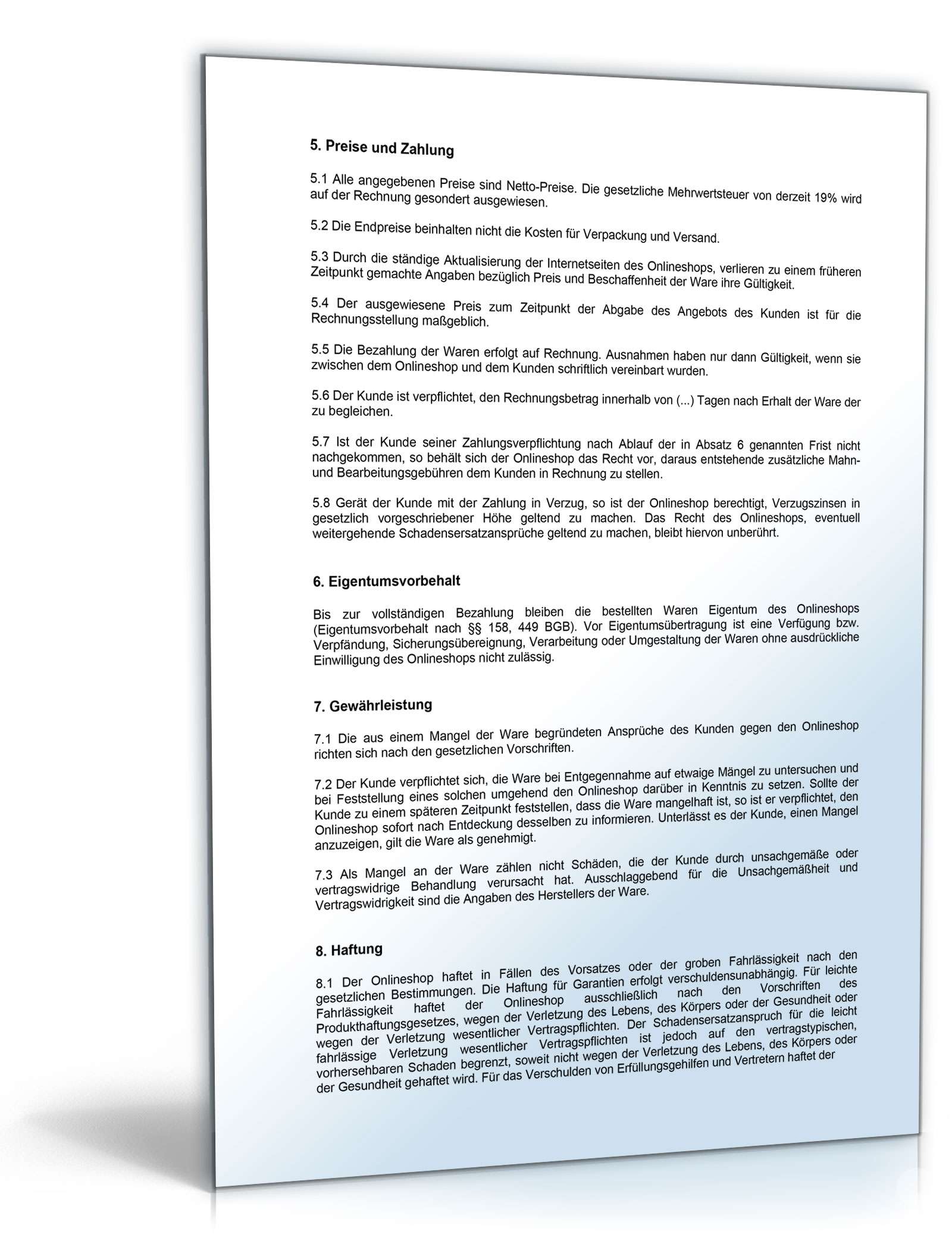 AGB Internethandel zwischen Unternehmern PDF. Seite: 2