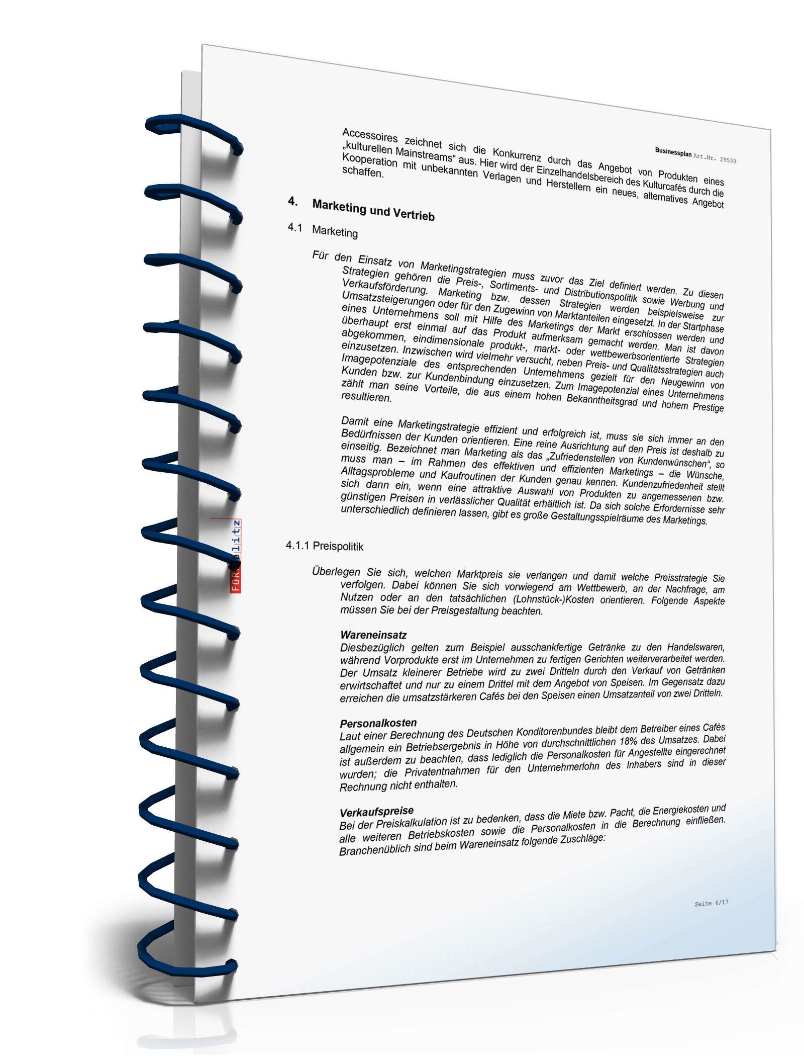 Businessplan Kulturcafé Excel. Seite: 11