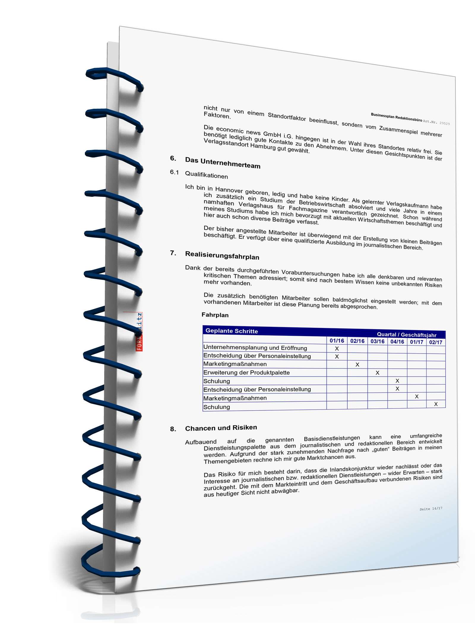 Businessplan Redaktionsbüro Excel. Seite: 13