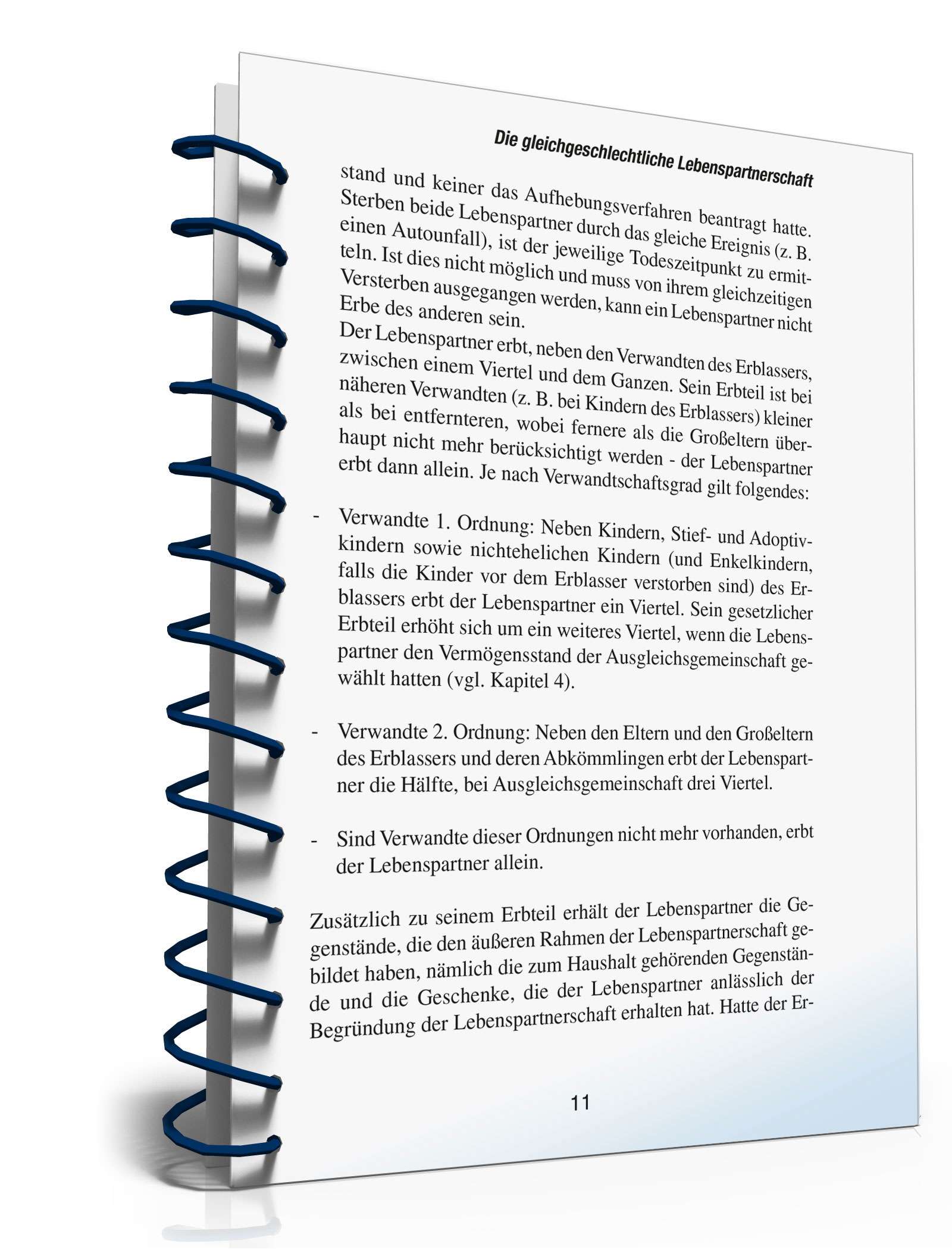 Ratgeber gleichgeschlechtliche Lebenspartnerschaft PDF. Seite: 11