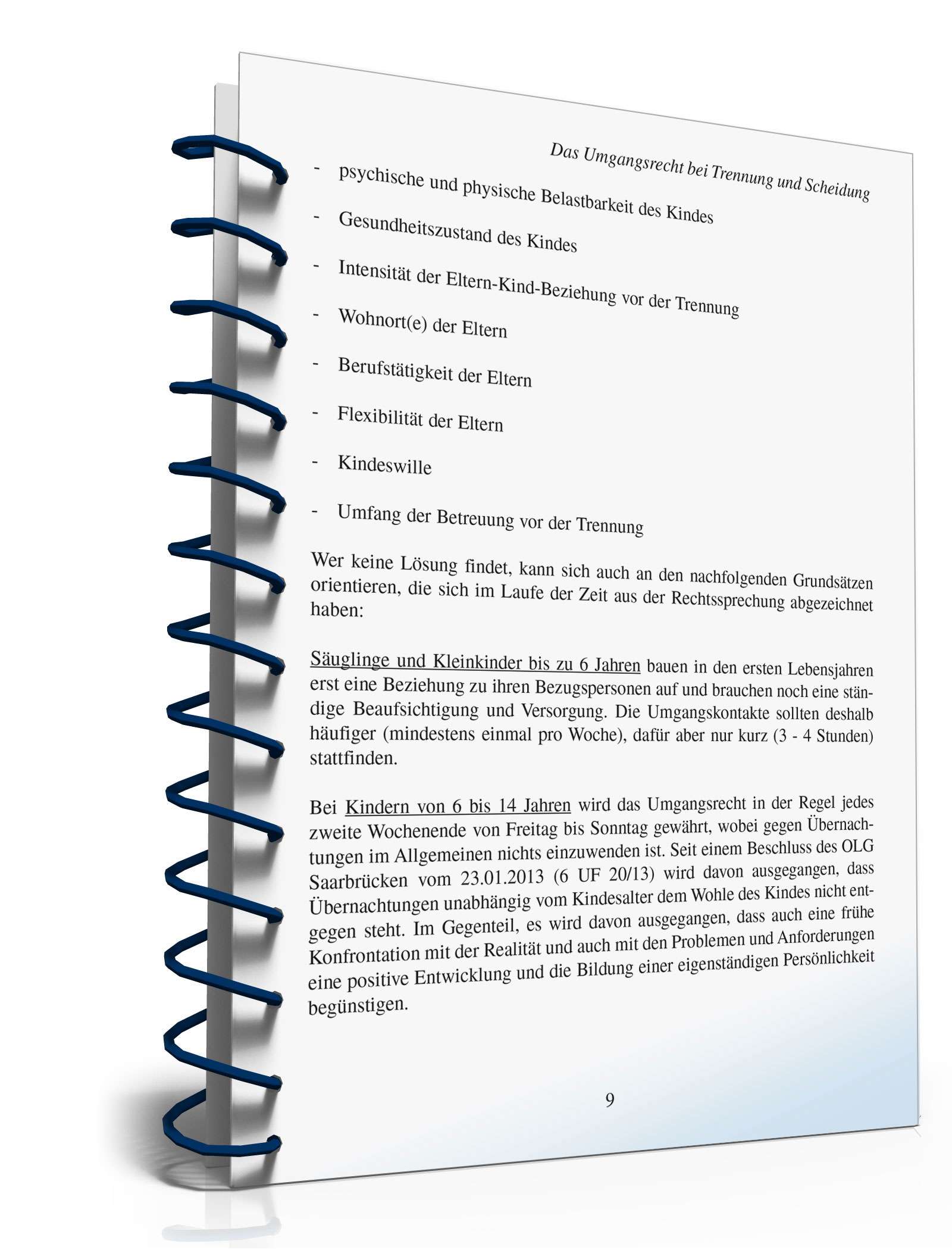 Ratgeber Umgangsrecht Trennung/Scheidung PDF. Seite: 8