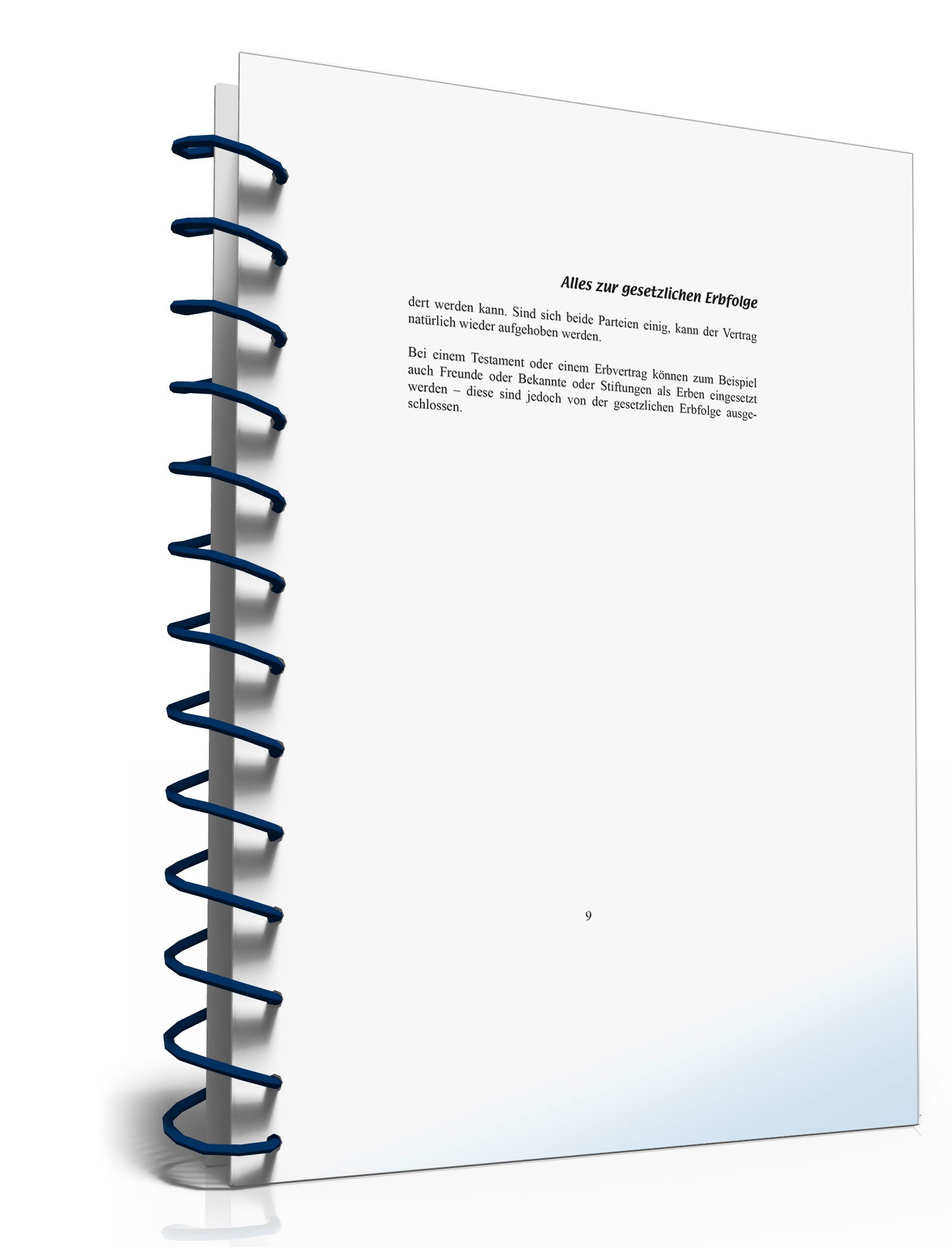 Ratgeber gesetzliche Erbfolge PDF. Seite: 9