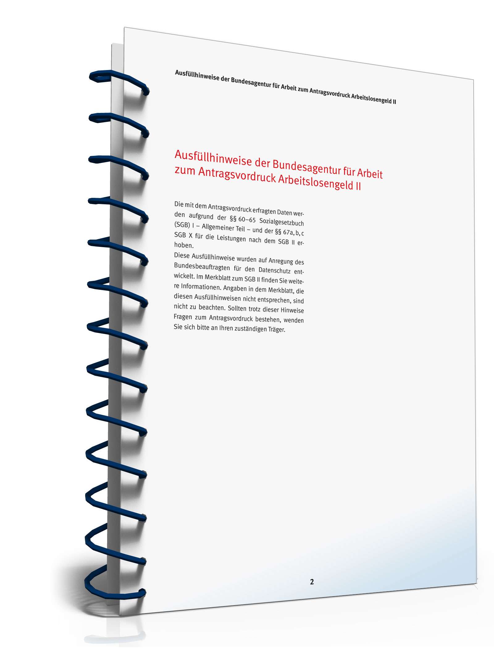 Ausfüllhinweise Antrag Bürgergeld PDF. Seite: 2