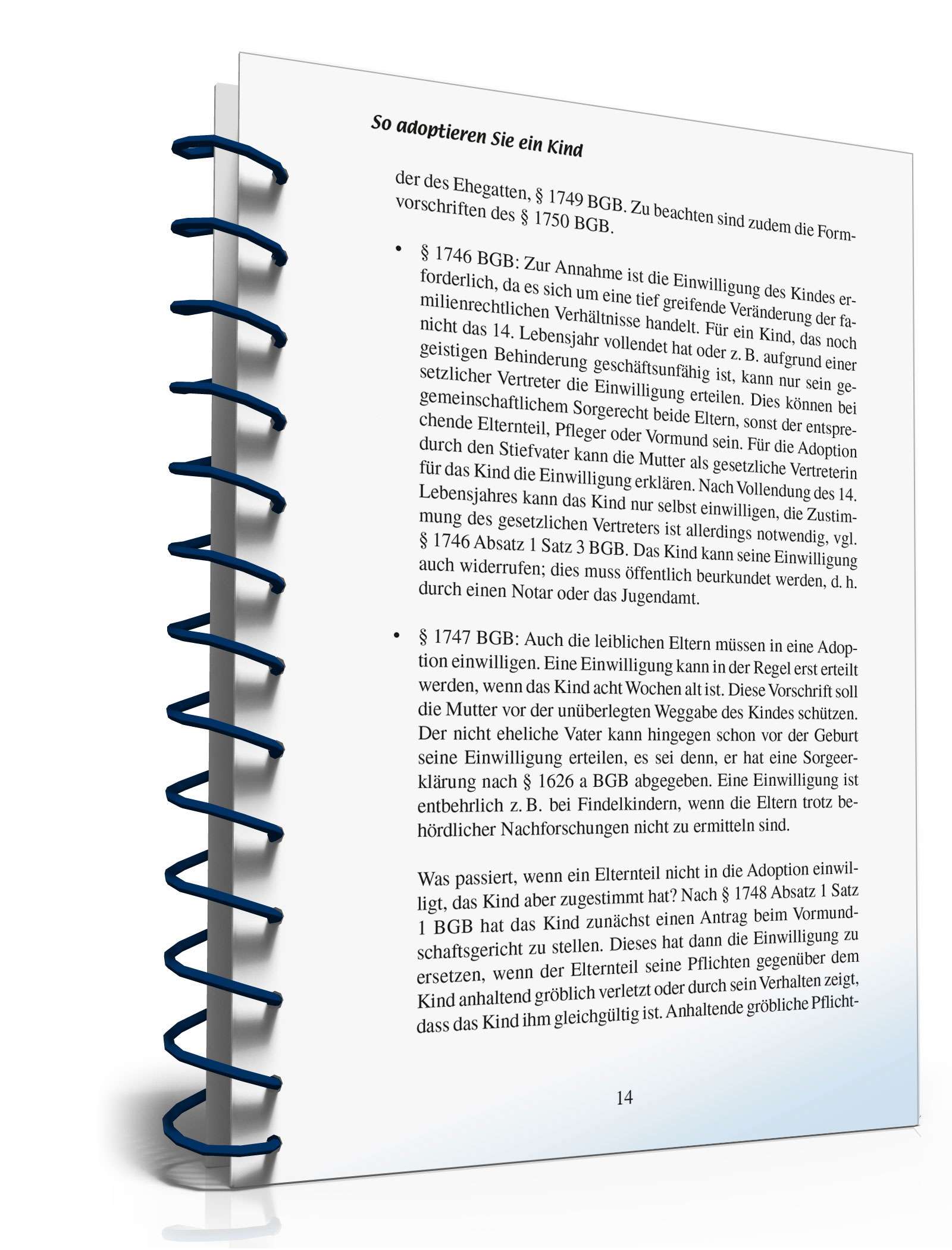 Ratgeber Adoption PDF. Seite: 13