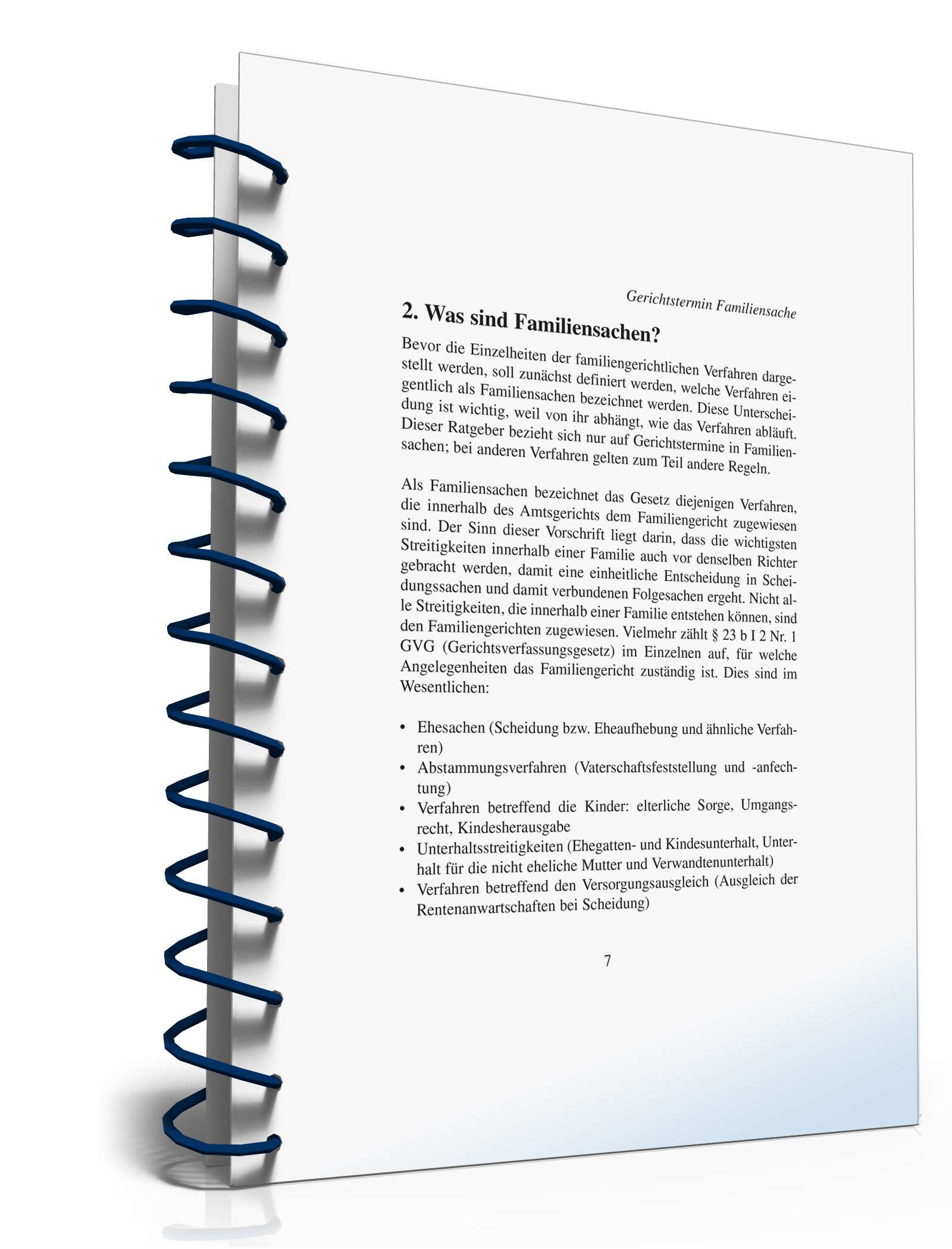 Ratgeber Gerichtstermin Familiensache PDF. Seite: 7