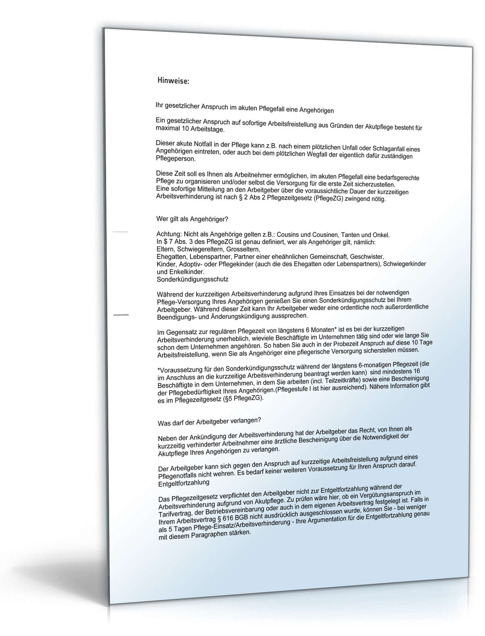 Anzeige kurzzeitige Arbeitsverhinderung Pflegezeit PDF. Seite: 2