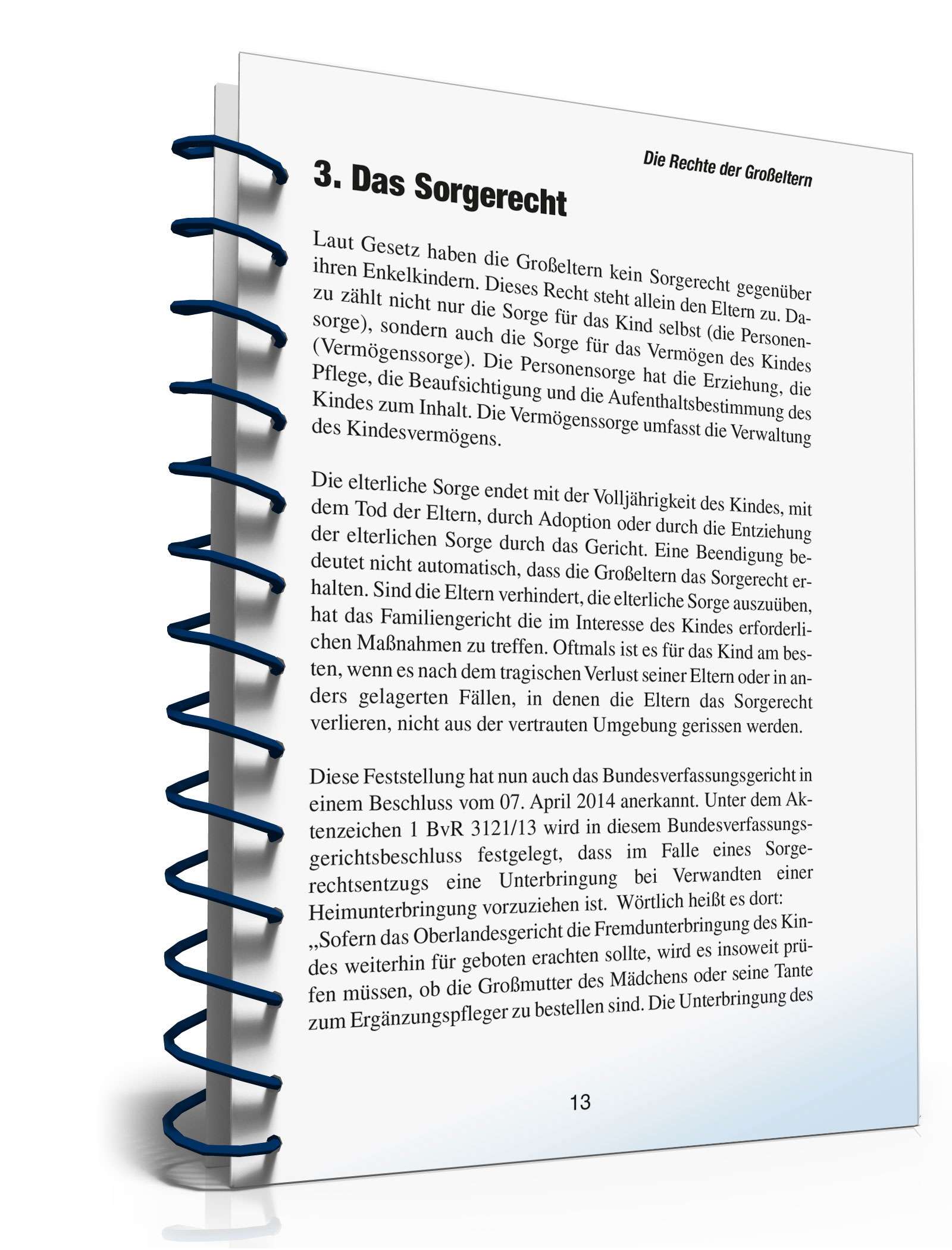 Ratgeber Recht Großeltern PDF. Seite: 12