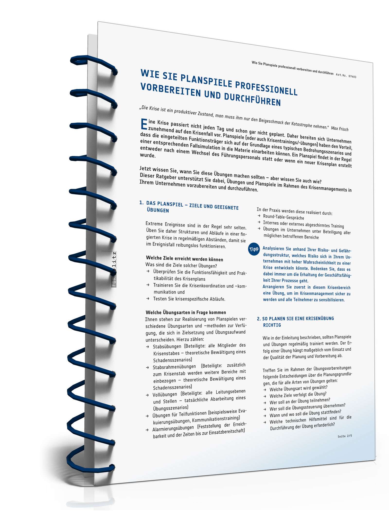 Ratgeber Planspiel PDF. Seite: 3