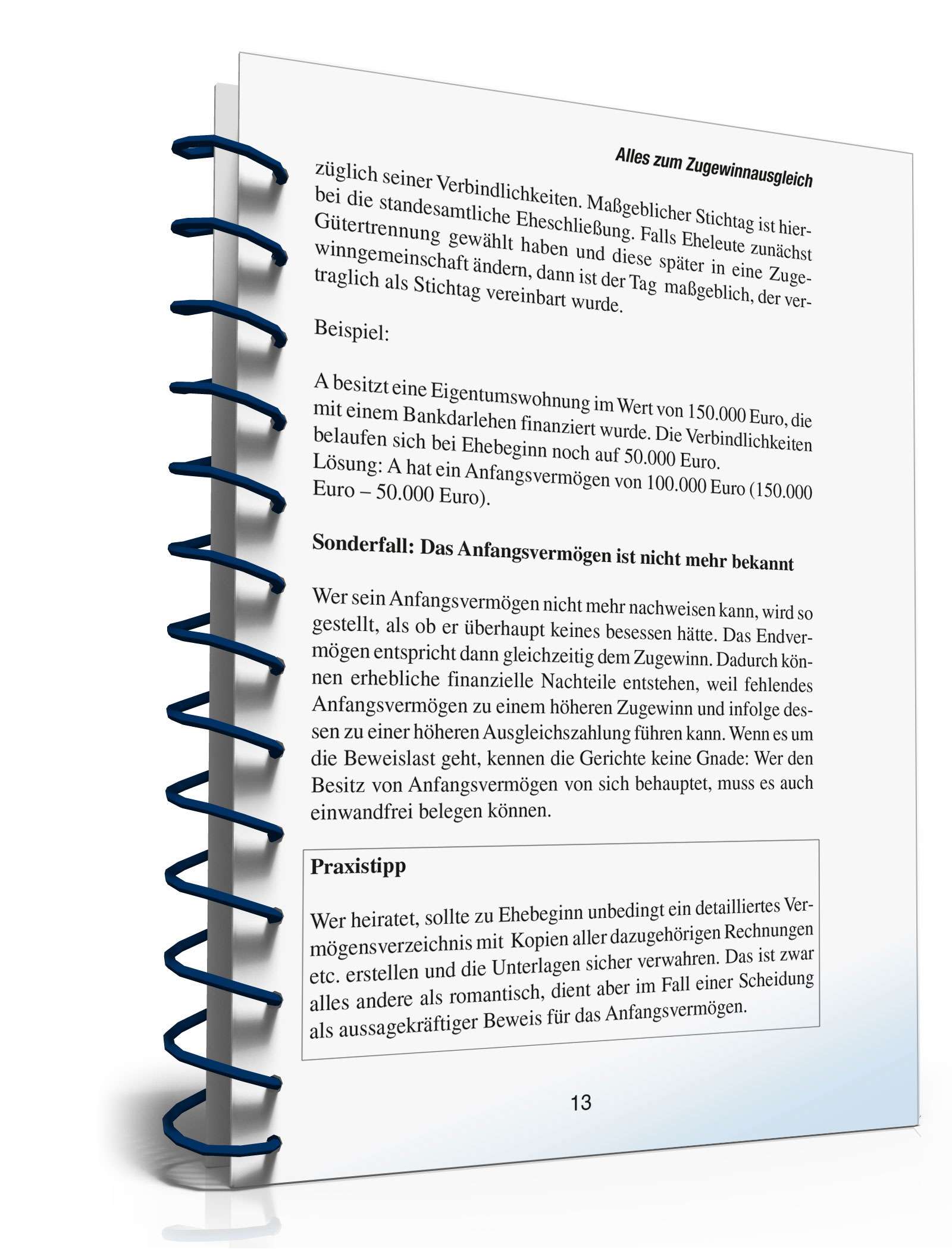 Ratgeber Eheliches Güterrecht PDF. Seite: 12