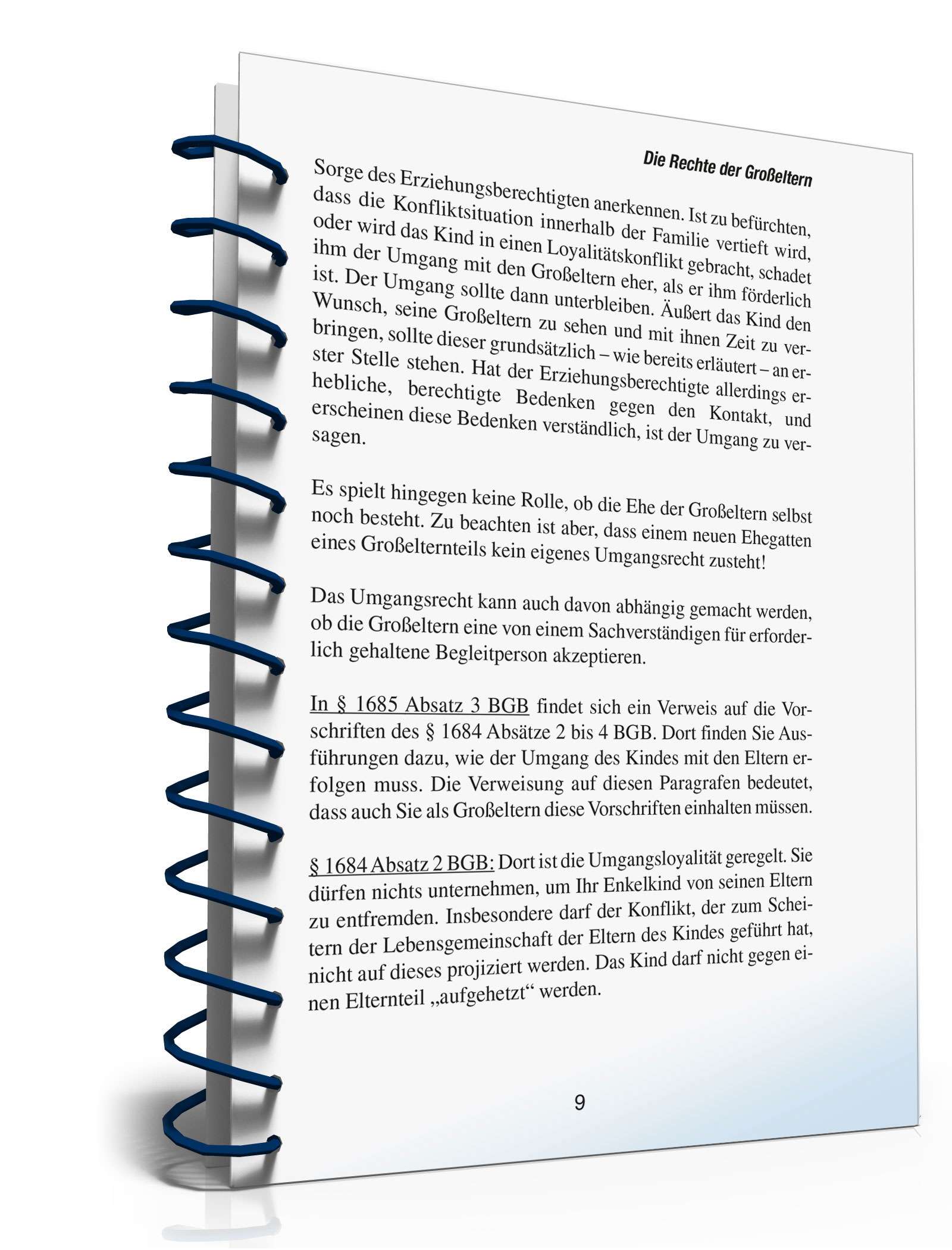 Ratgeber Recht Großeltern PDF. Seite: 8