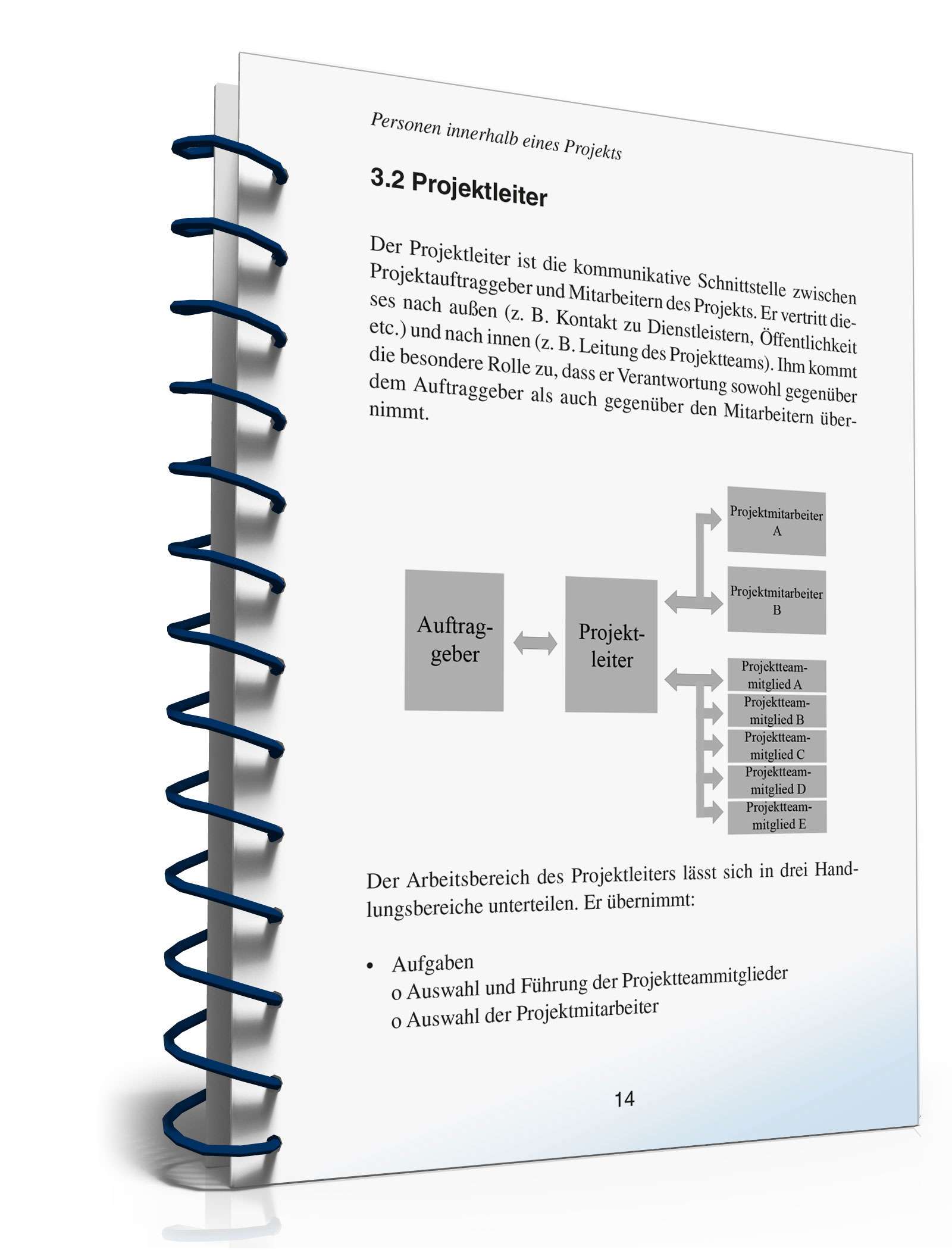 Projektmanagement in der Praxis PDF. Seite: 13