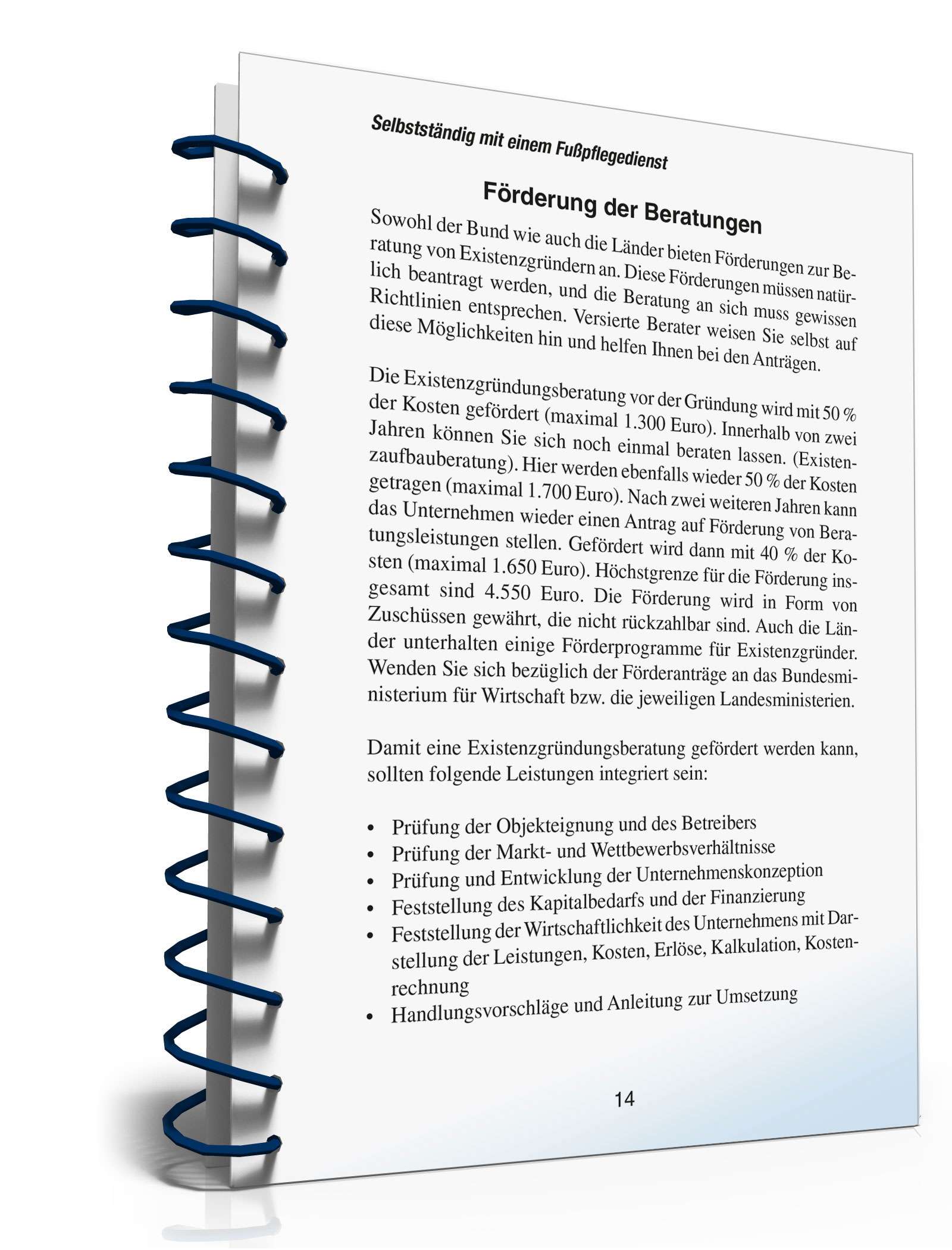 (Nebenberuflich) selbstständig mit einem Fußpflegedienst PDF. Seite: 13