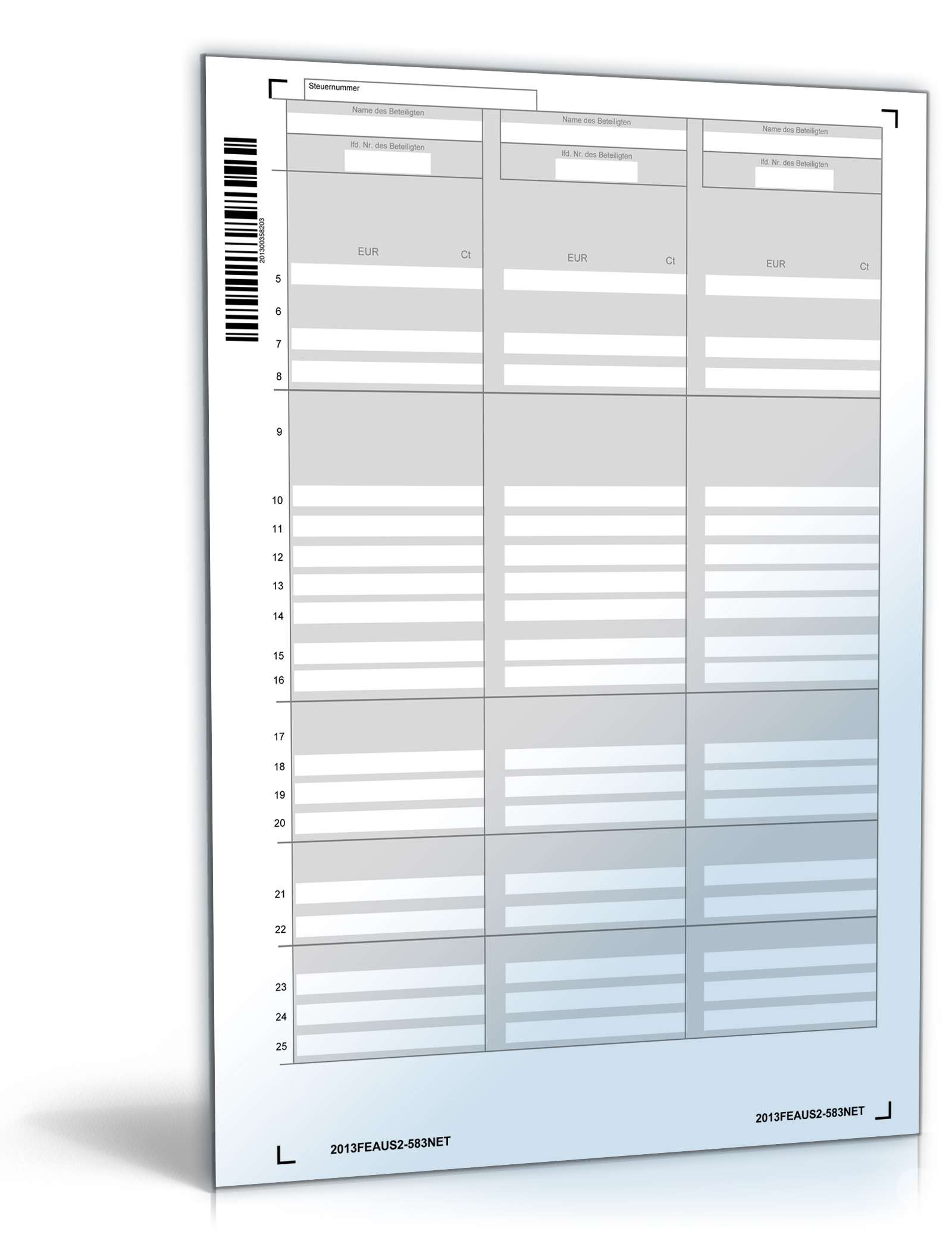 Anlage FE-AUS2 2013 PDF. Seite: 3