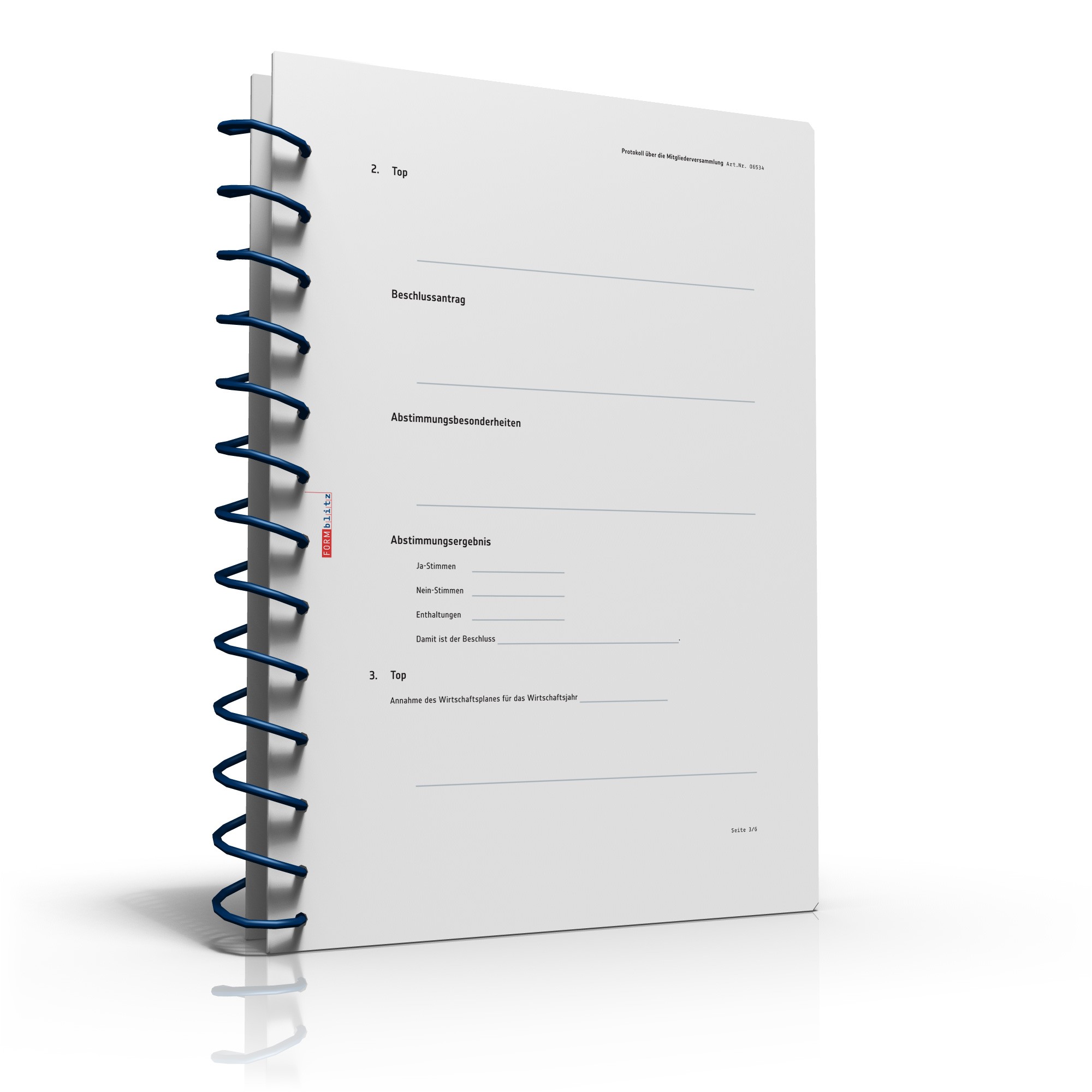 Protokoll Vereinsversammlung PDF. Seite: 4