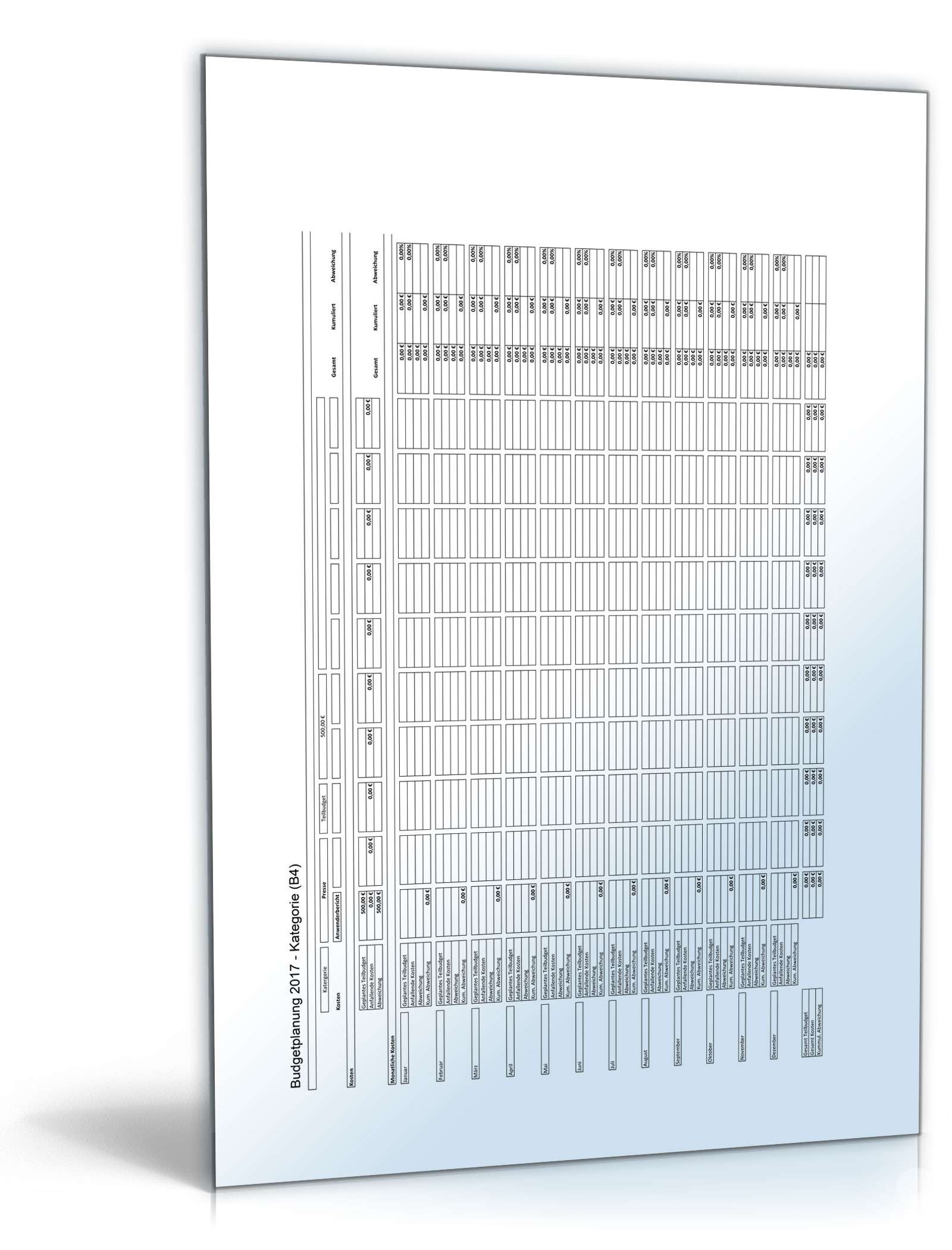Budgetplanung Excel. Seite: 8