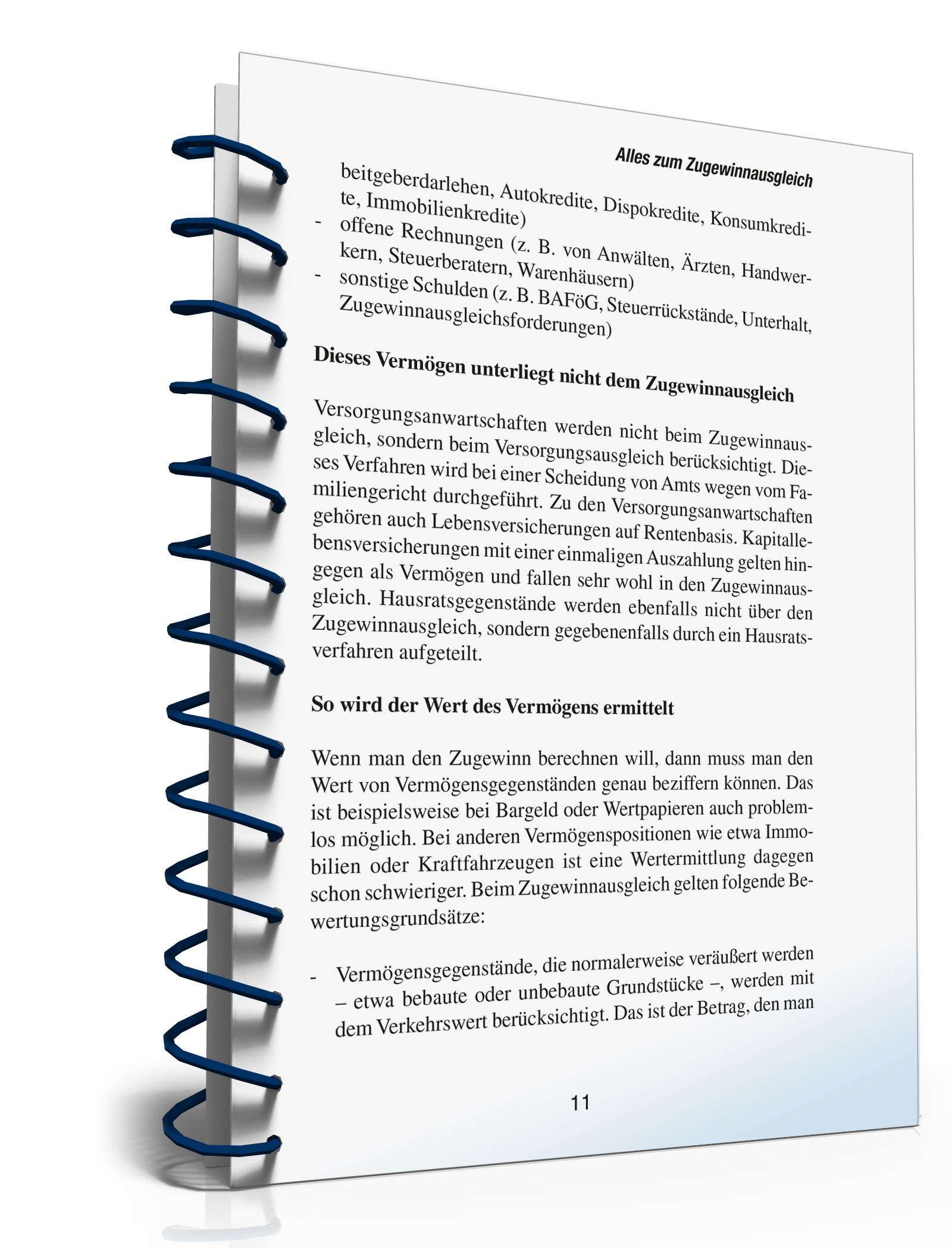 Ratgeber Eheliches Güterrecht PDF. Seite: 10