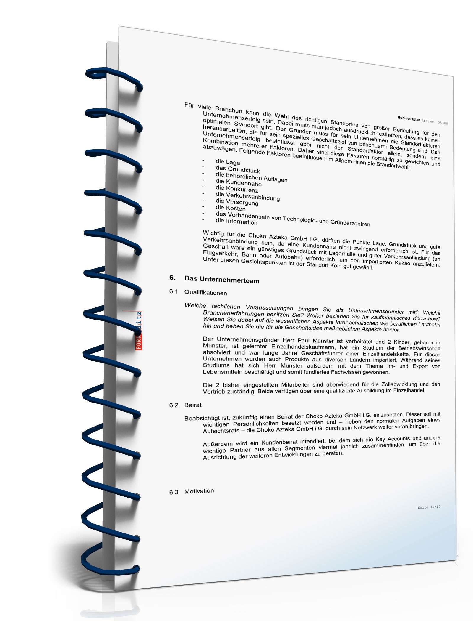 Businessplan Im- und Exportunternehmen Excel. Seite: 13