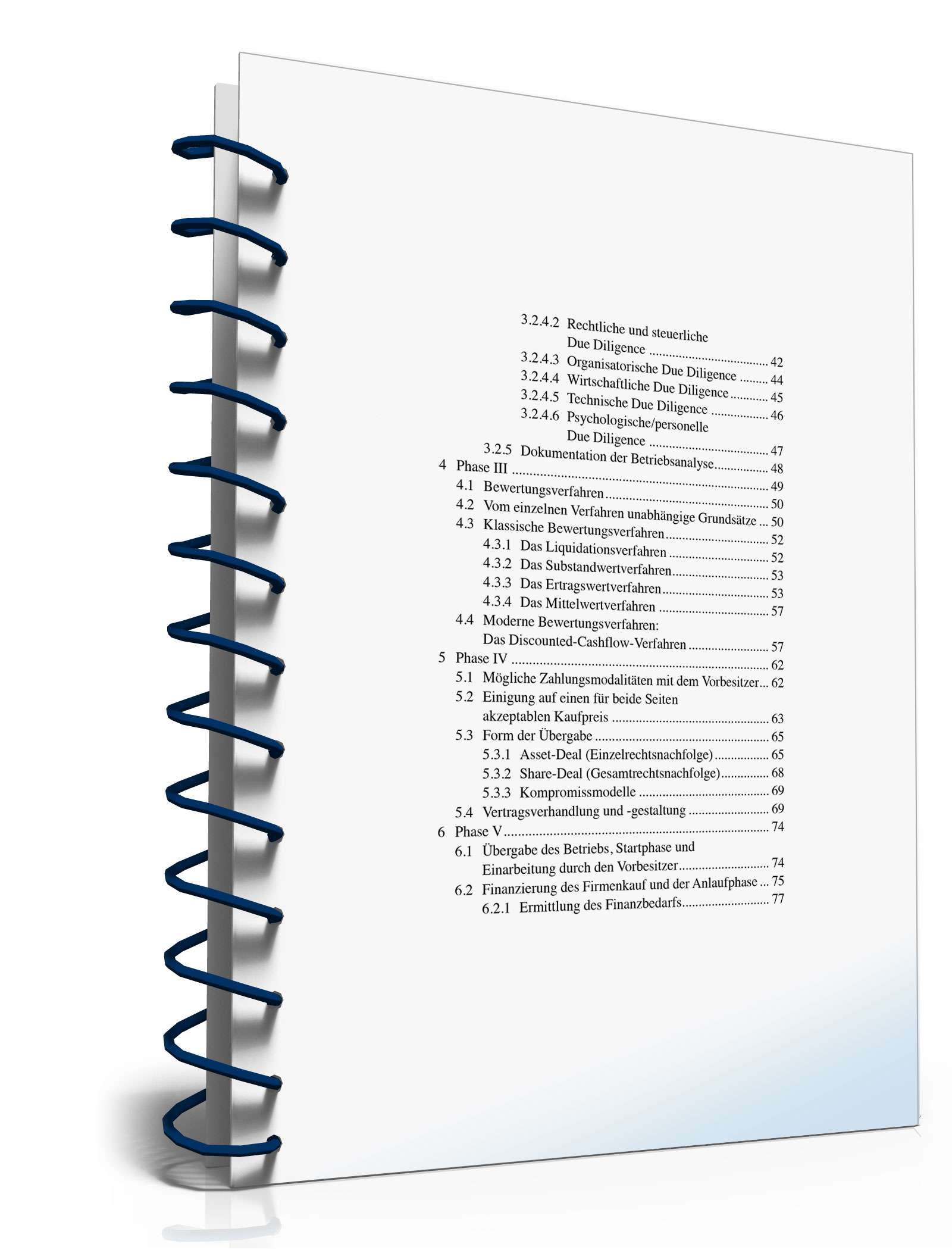 Unternehmensnachfolge PDF. Seite: 3