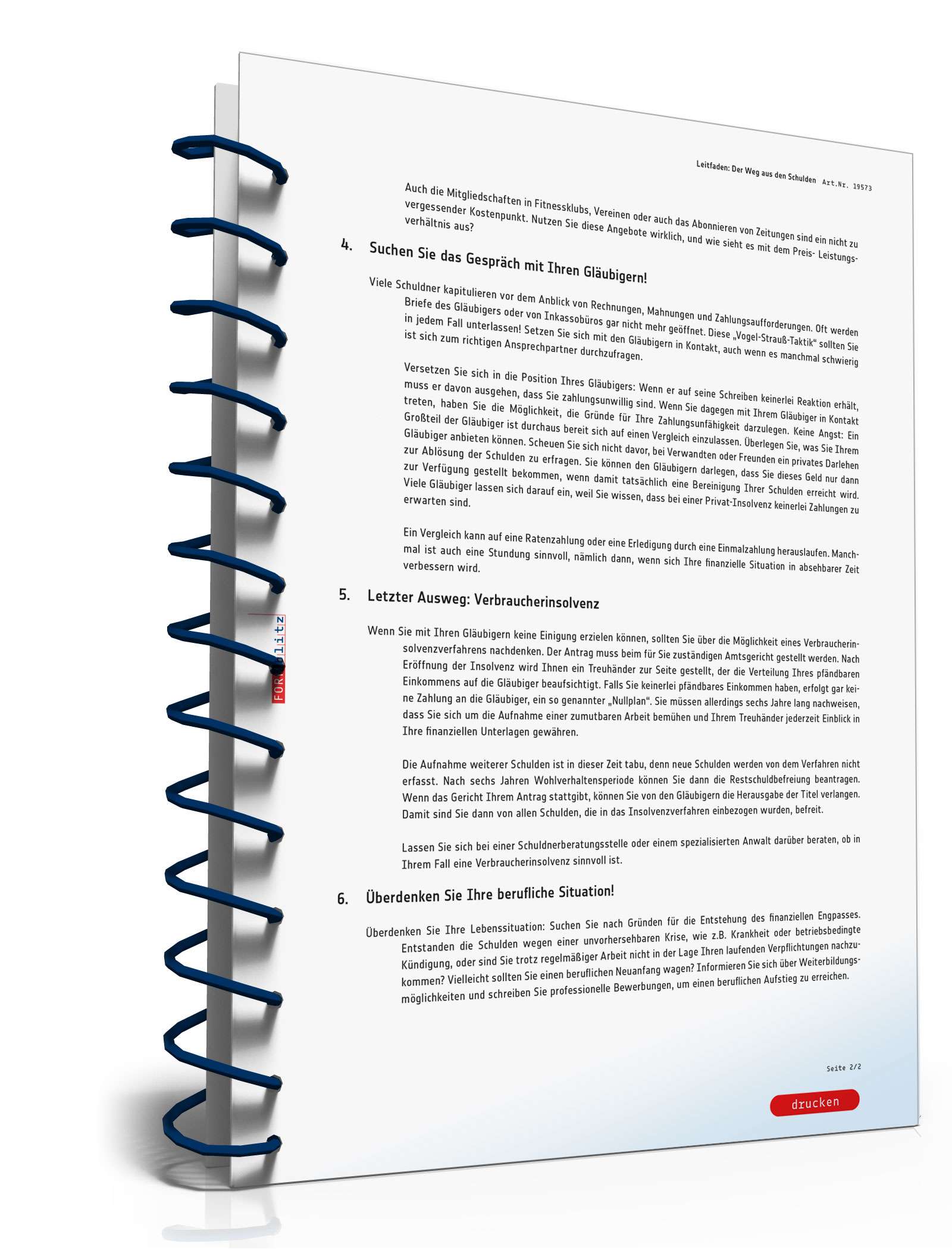 Ratgeber Weg aus den Schulden PDF. Seite: 3