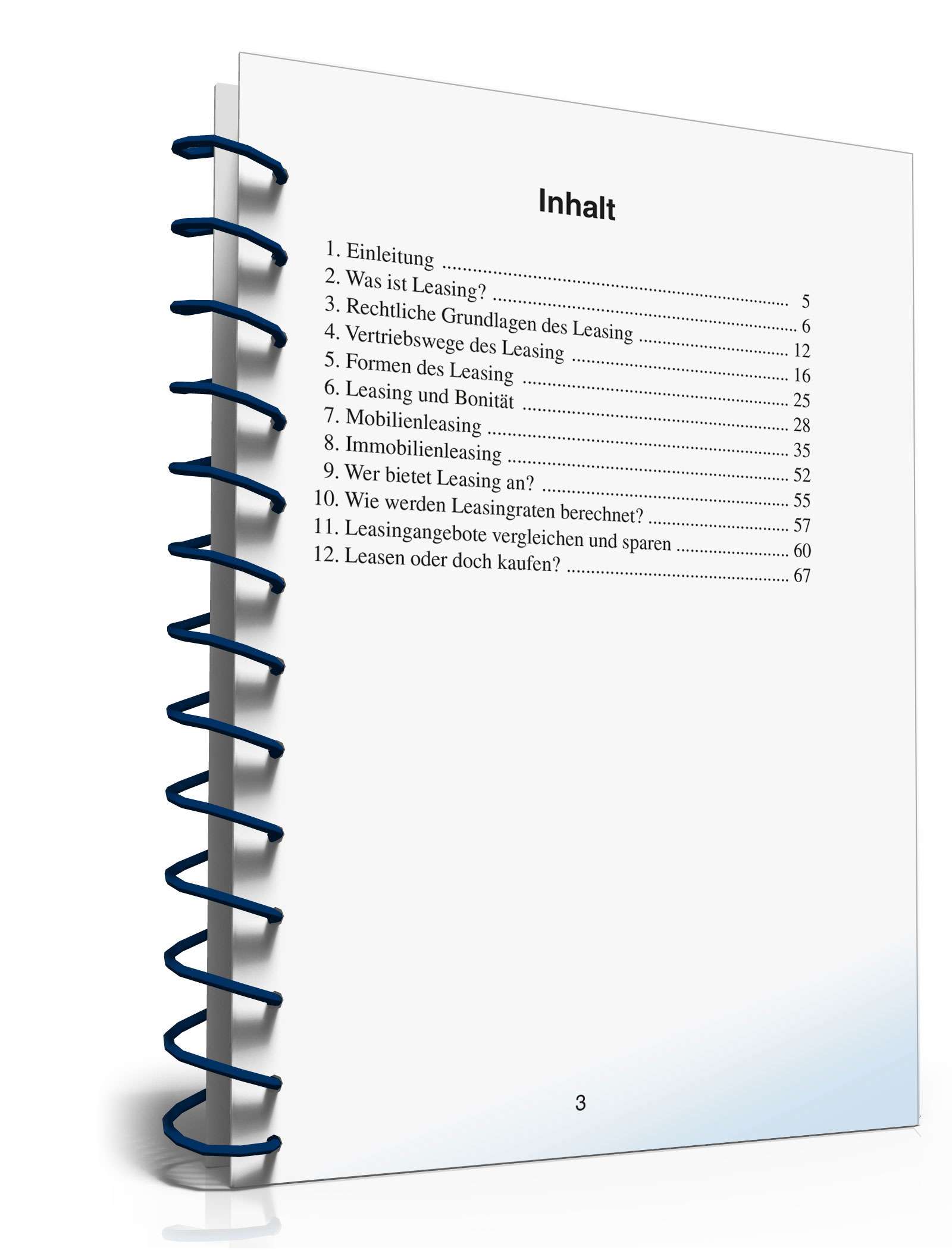 Ratgeber zum Thema Leasing  PDF. Seite: 3