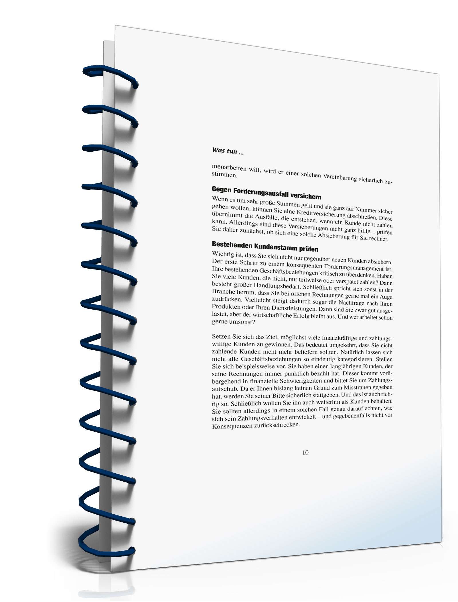 Ratgeber zahlungsunwilliger Kunde PDF. Seite: 10