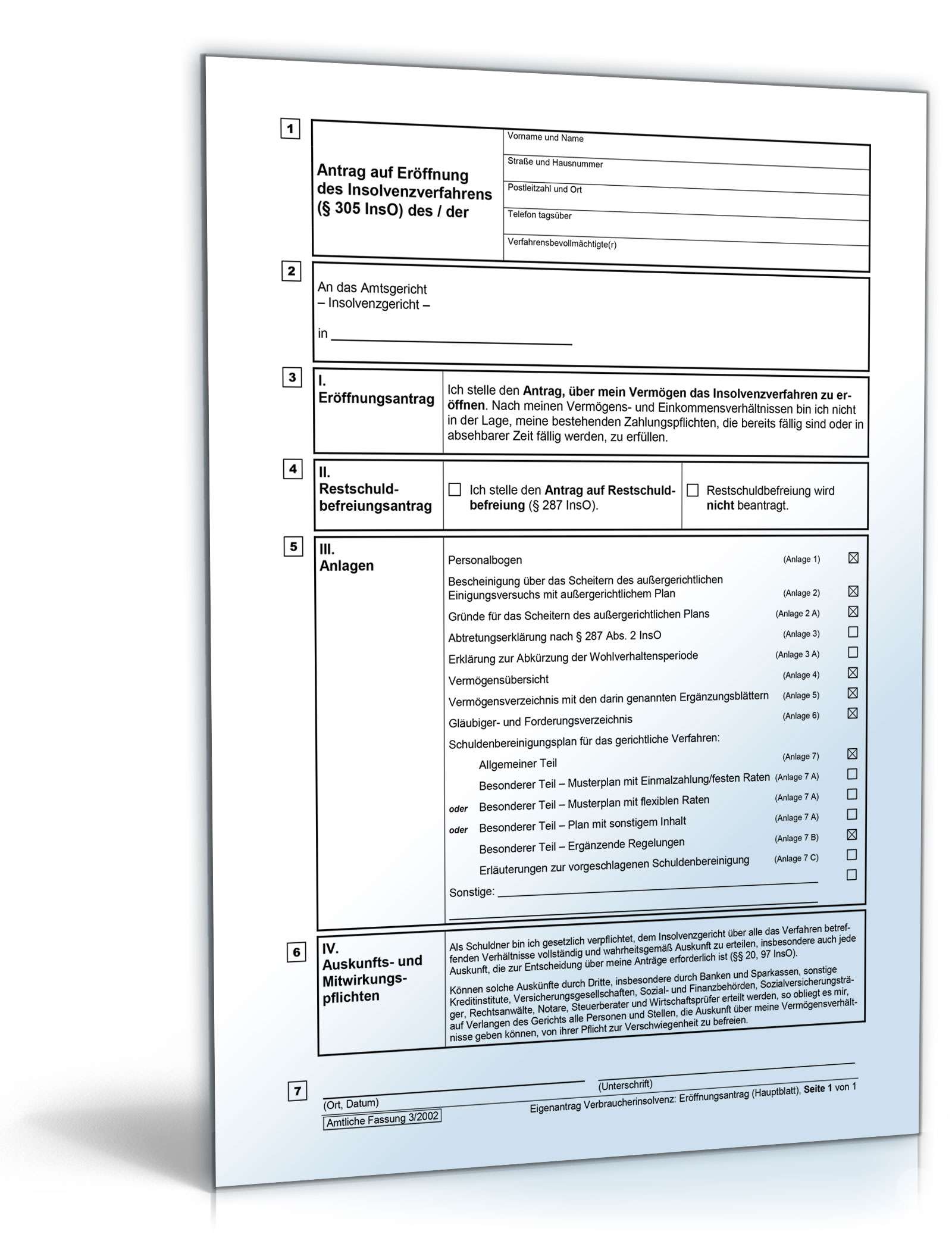Vordrucke für das Verbraucherinsolvenzverfahren Excel. Seite: 2