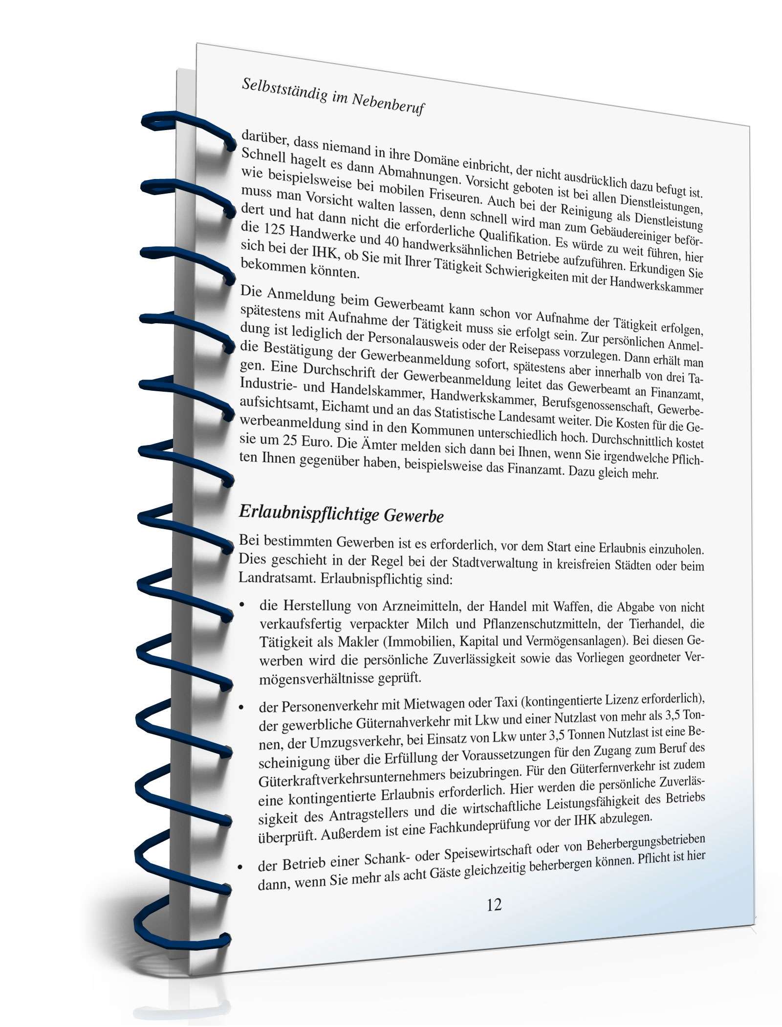 Zusatzverdienst-Ideen PDF. Seite: 13